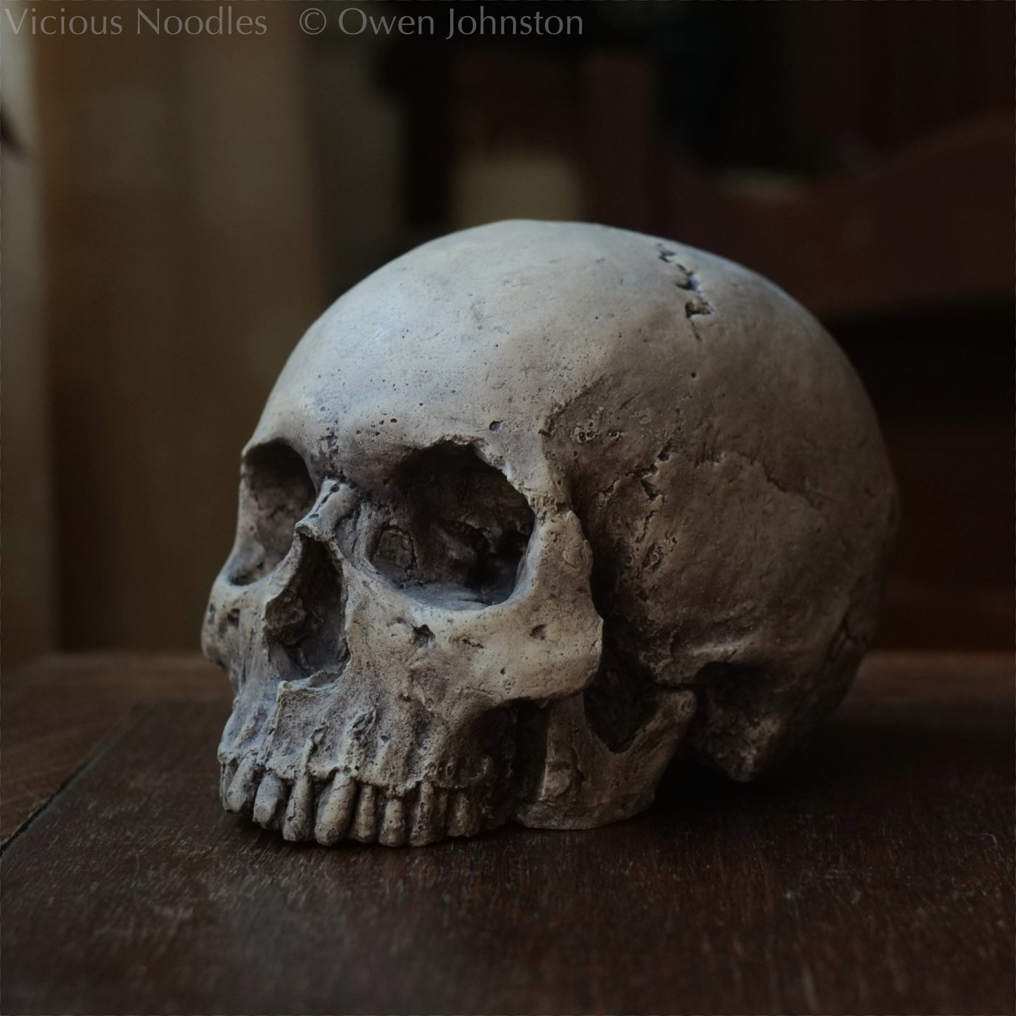 Human skull replica, lightly weathered natural finish