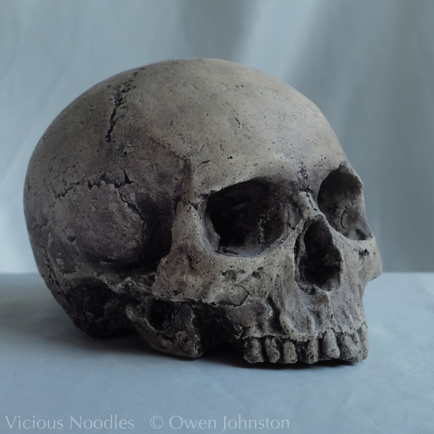 Human skull replica, lightly weathered natural finish
