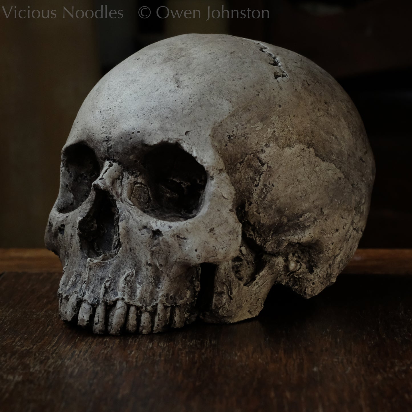 Human skull replica, highly weathered natural finish