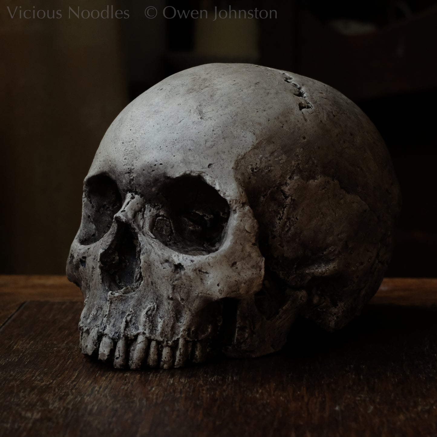 Human skull replica, highly weathered natural finish