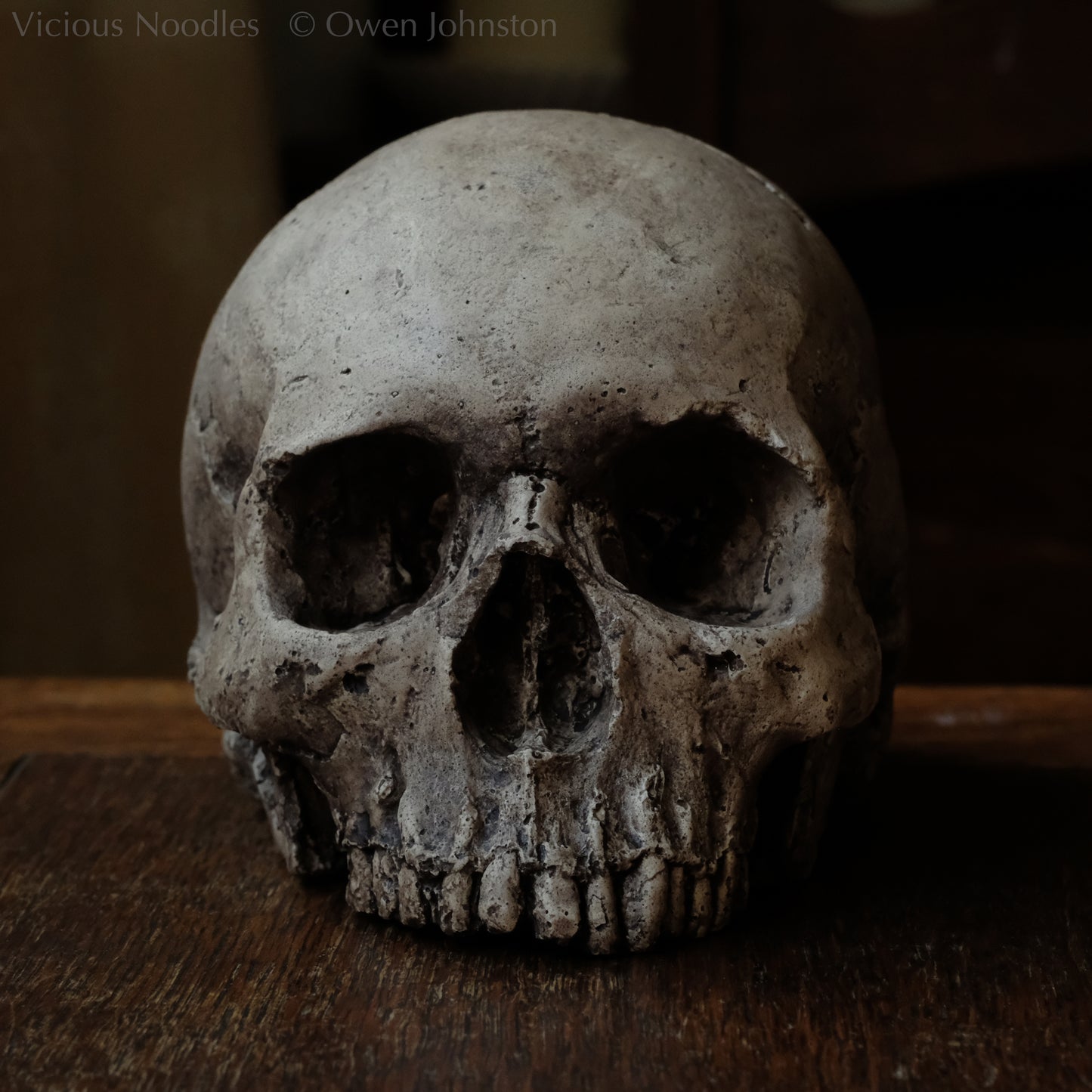 Human skull replica, highly weathered natural finish