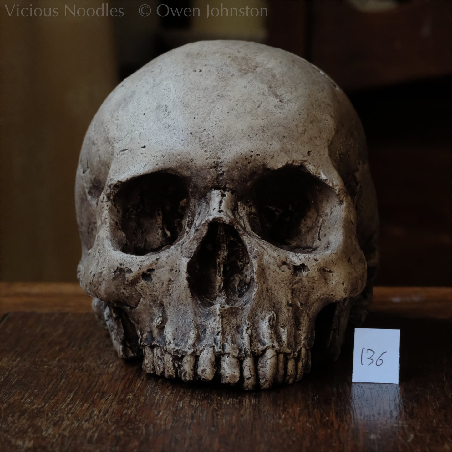 Human skull replica, highly weathered natural finish