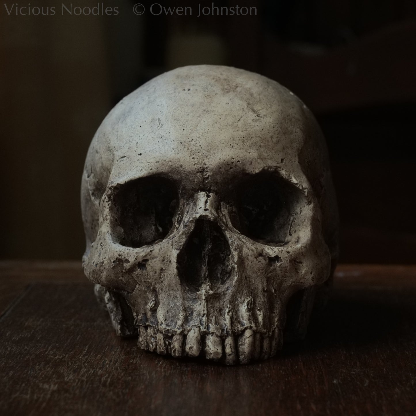 Human skull replica, highly weathered natural finish