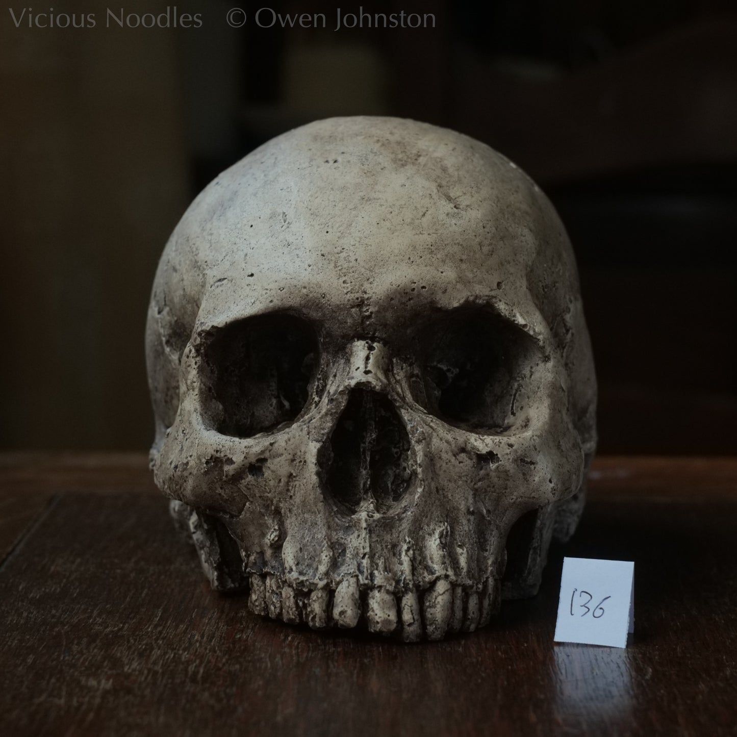 Human skull replica, highly weathered natural finish