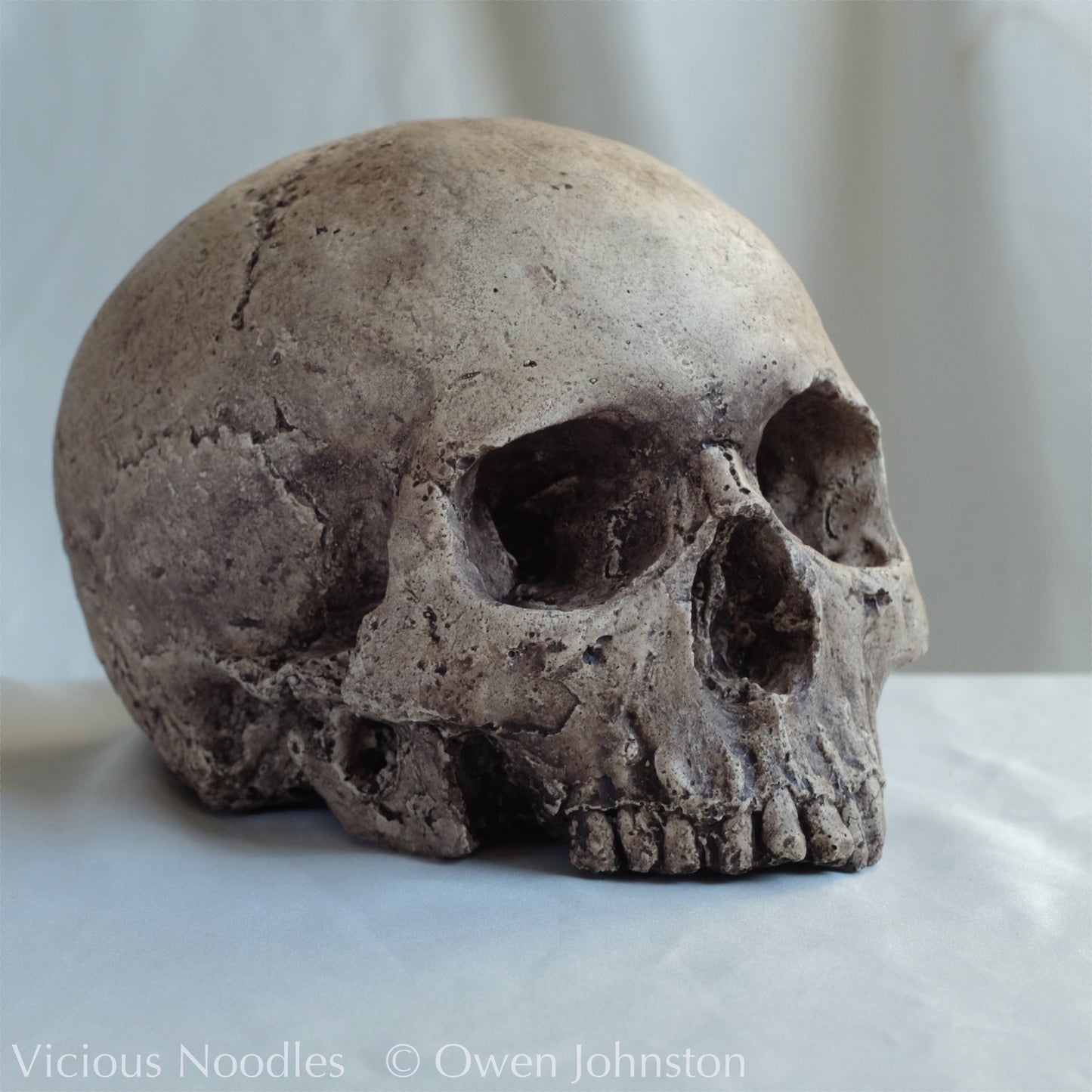 Human skull replica, highly weathered natural finish