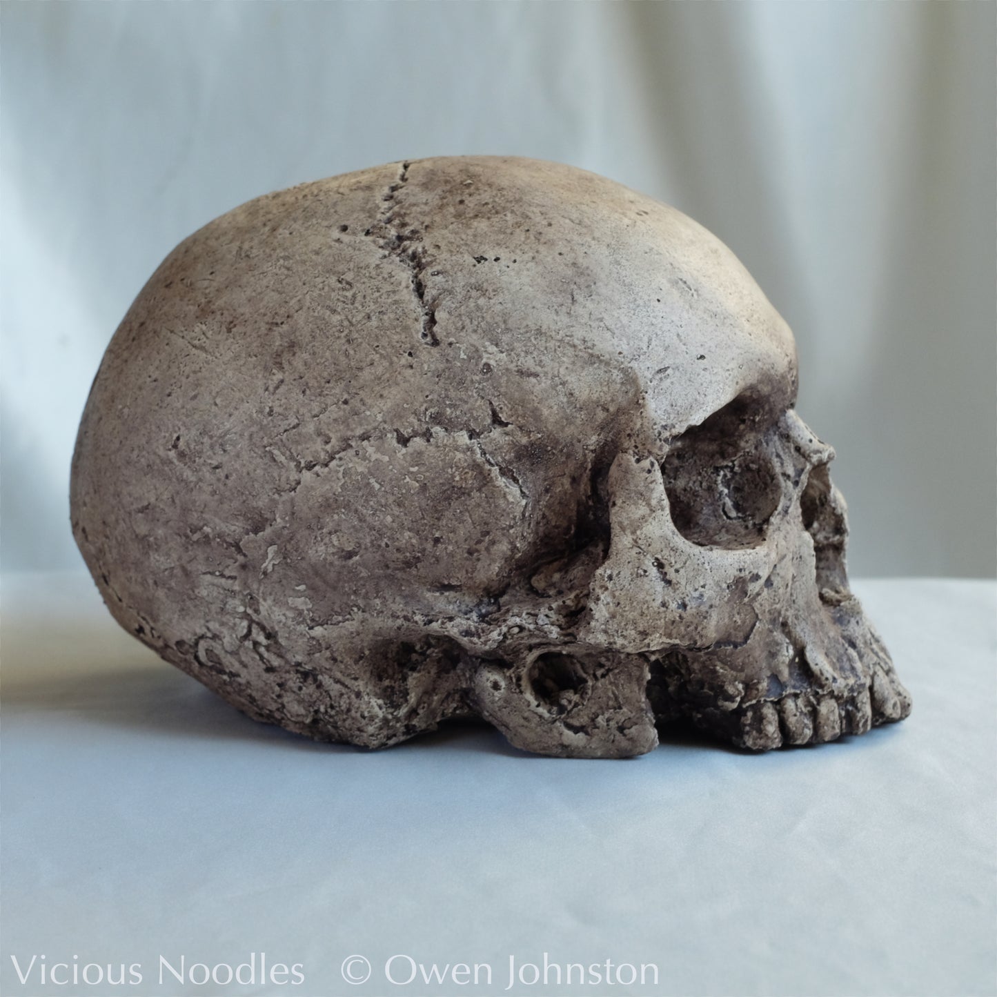 Human skull replica, highly weathered natural finish