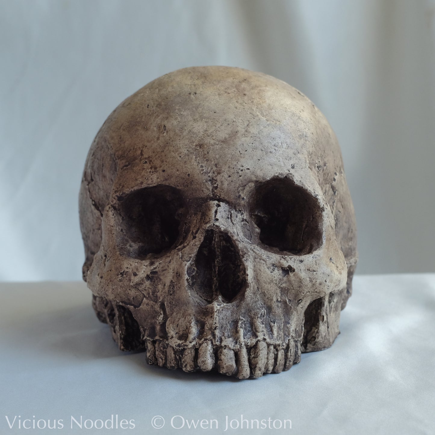 Human skull replica, highly weathered natural finish