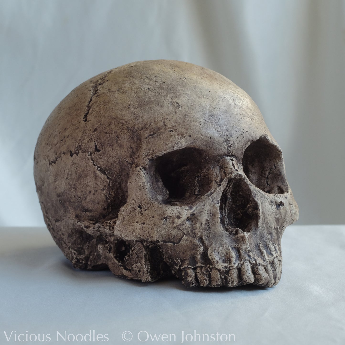 Human skull replica, highly weathered natural finish
