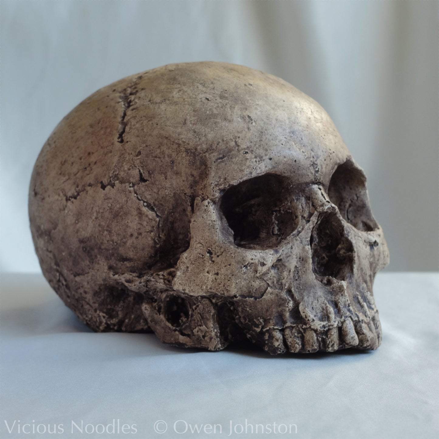 Human skull replica, highly weathered natural finish