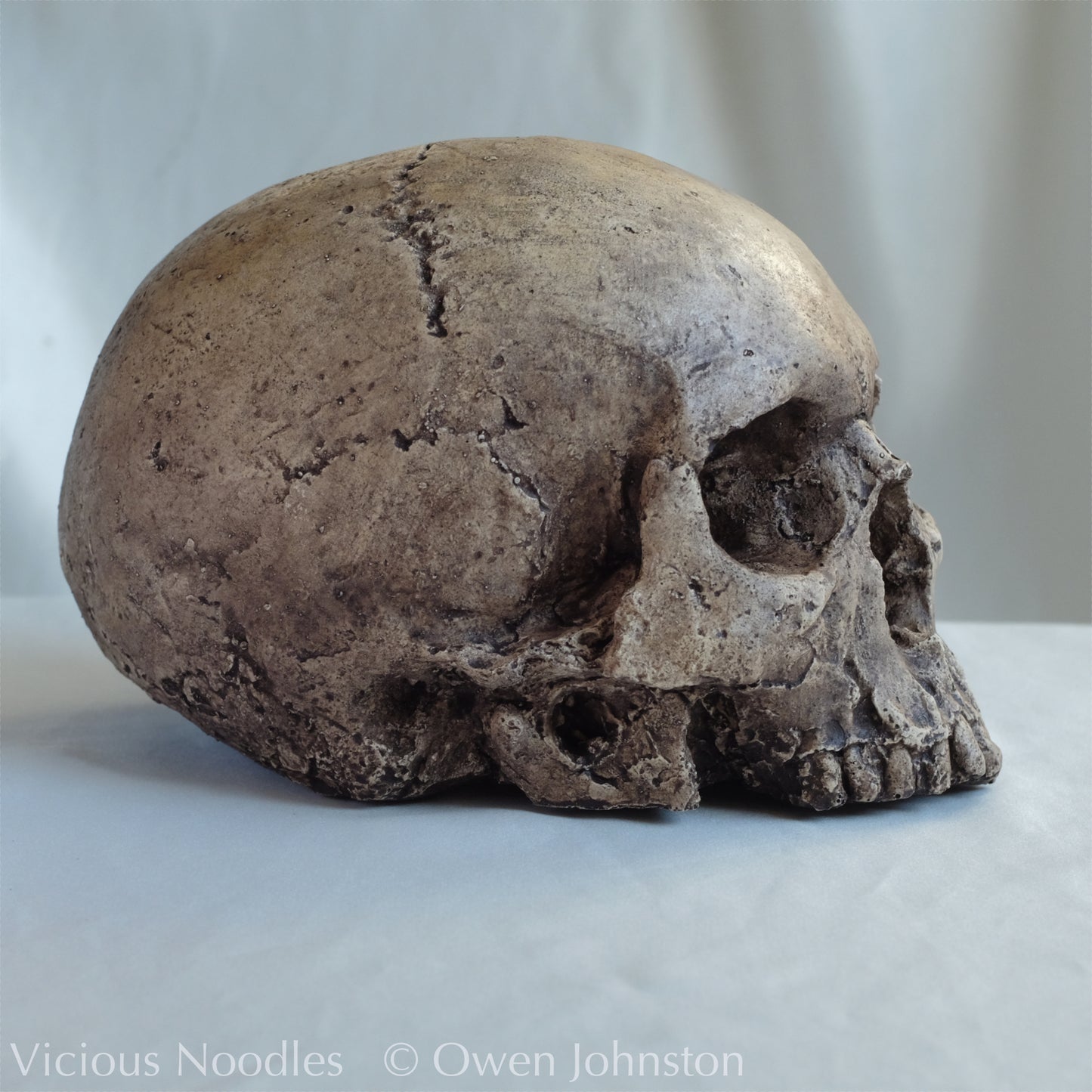Human skull replica, highly weathered natural finish