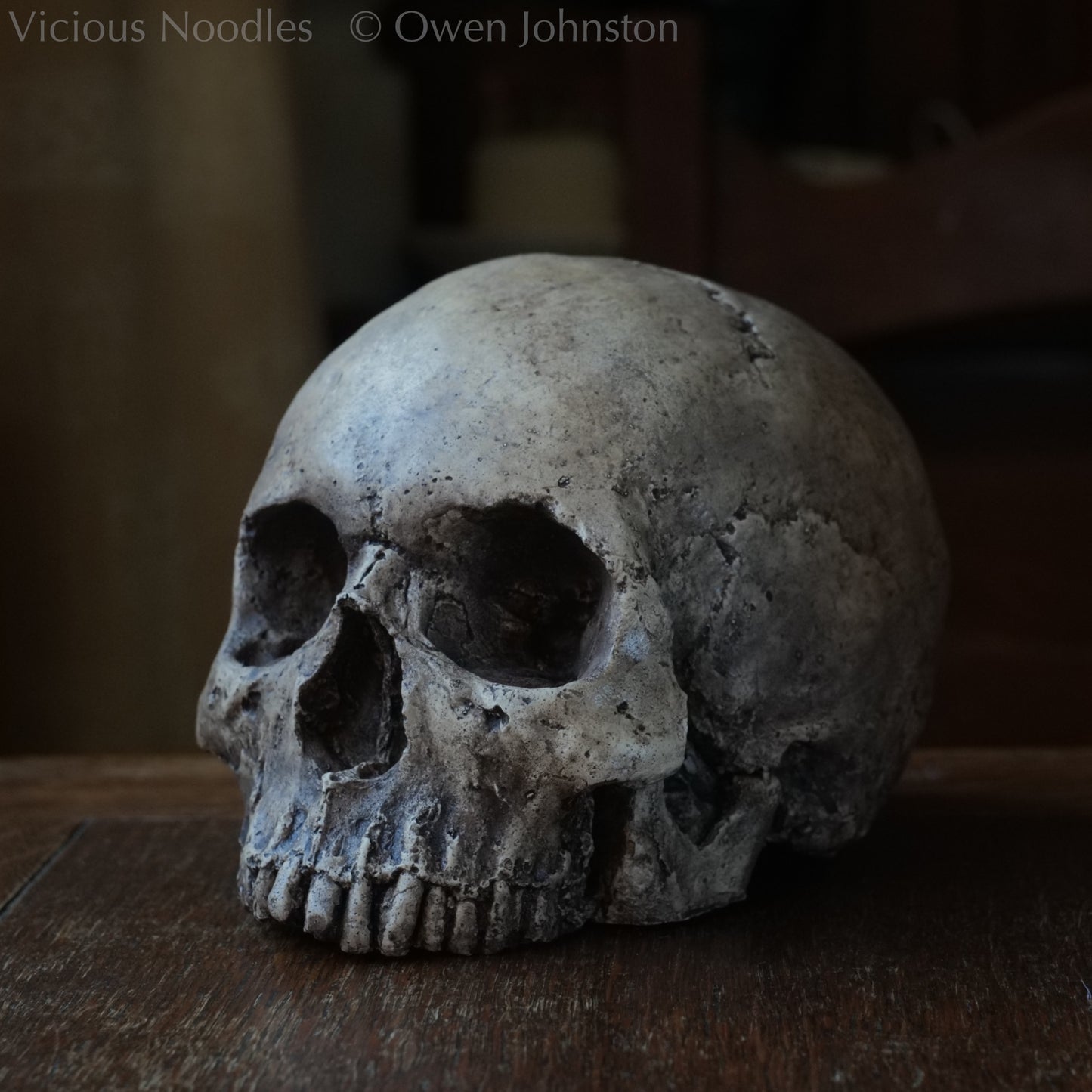 Human skull replica, highly weathered natural finish
