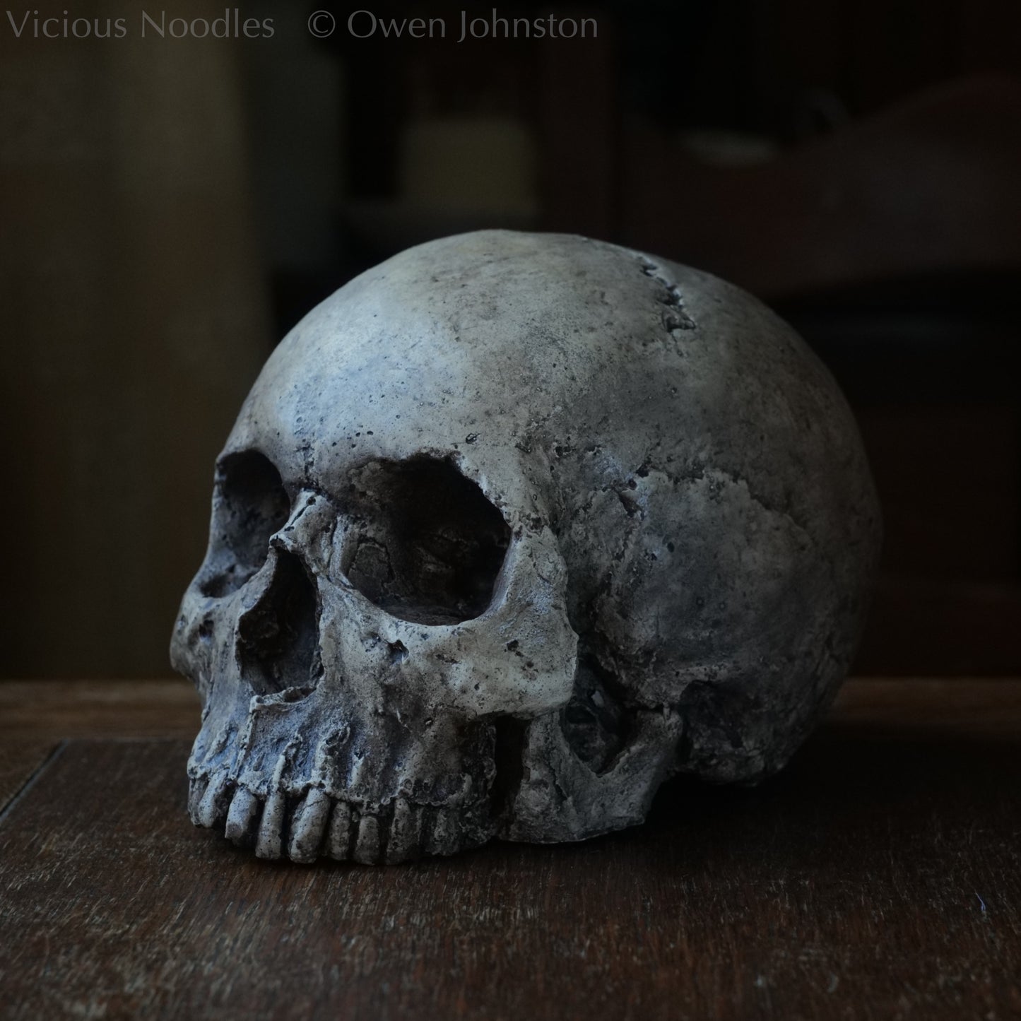Human skull replica, highly weathered natural finish