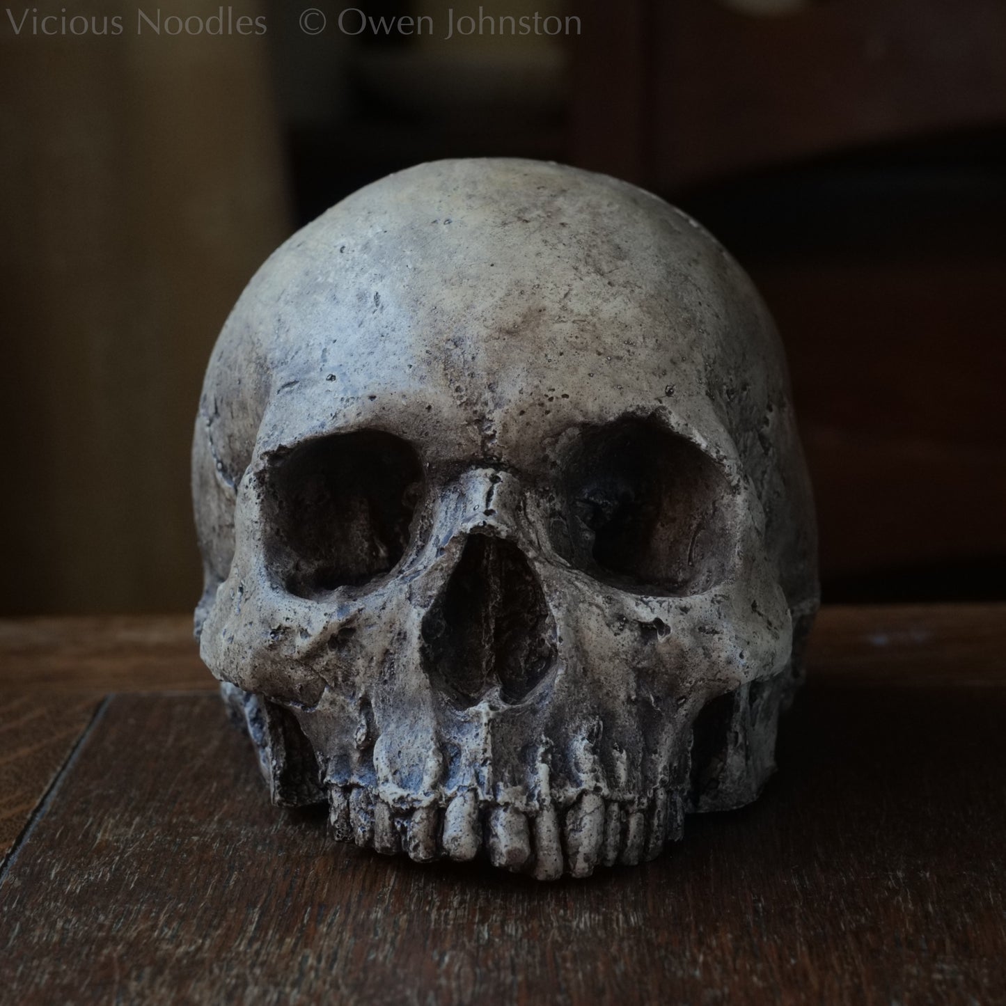 Human skull replica, highly weathered natural finish