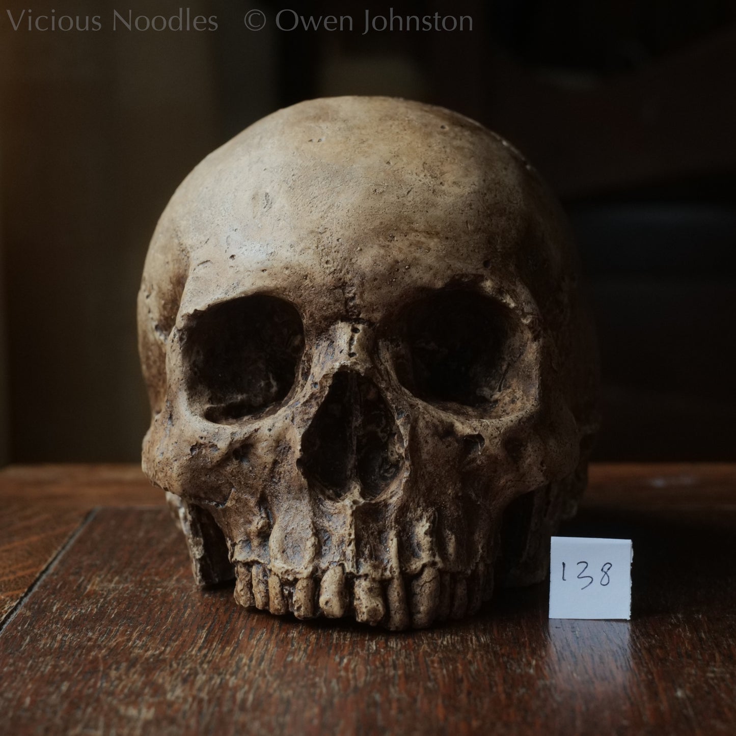 Human skull replica, fossil finish, dark brown