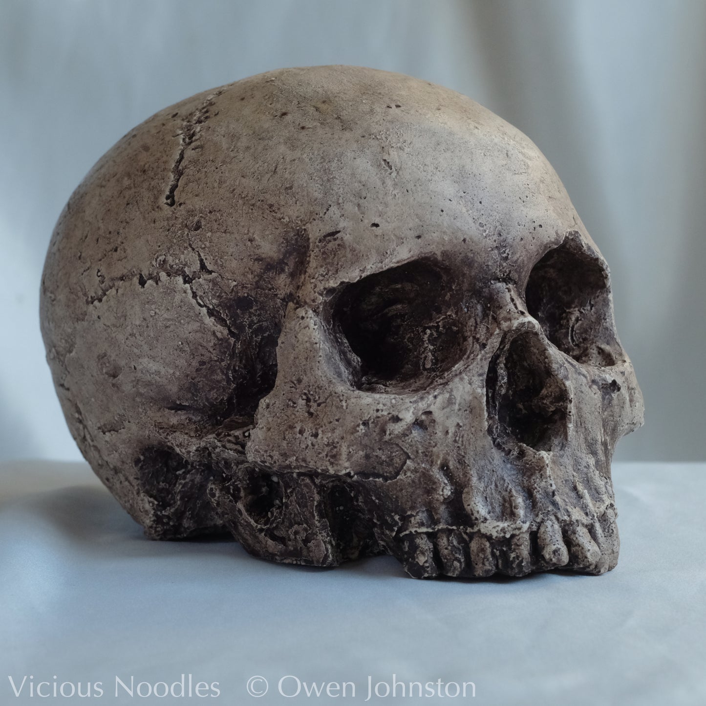 Human skull replica, highly weathered natural finish