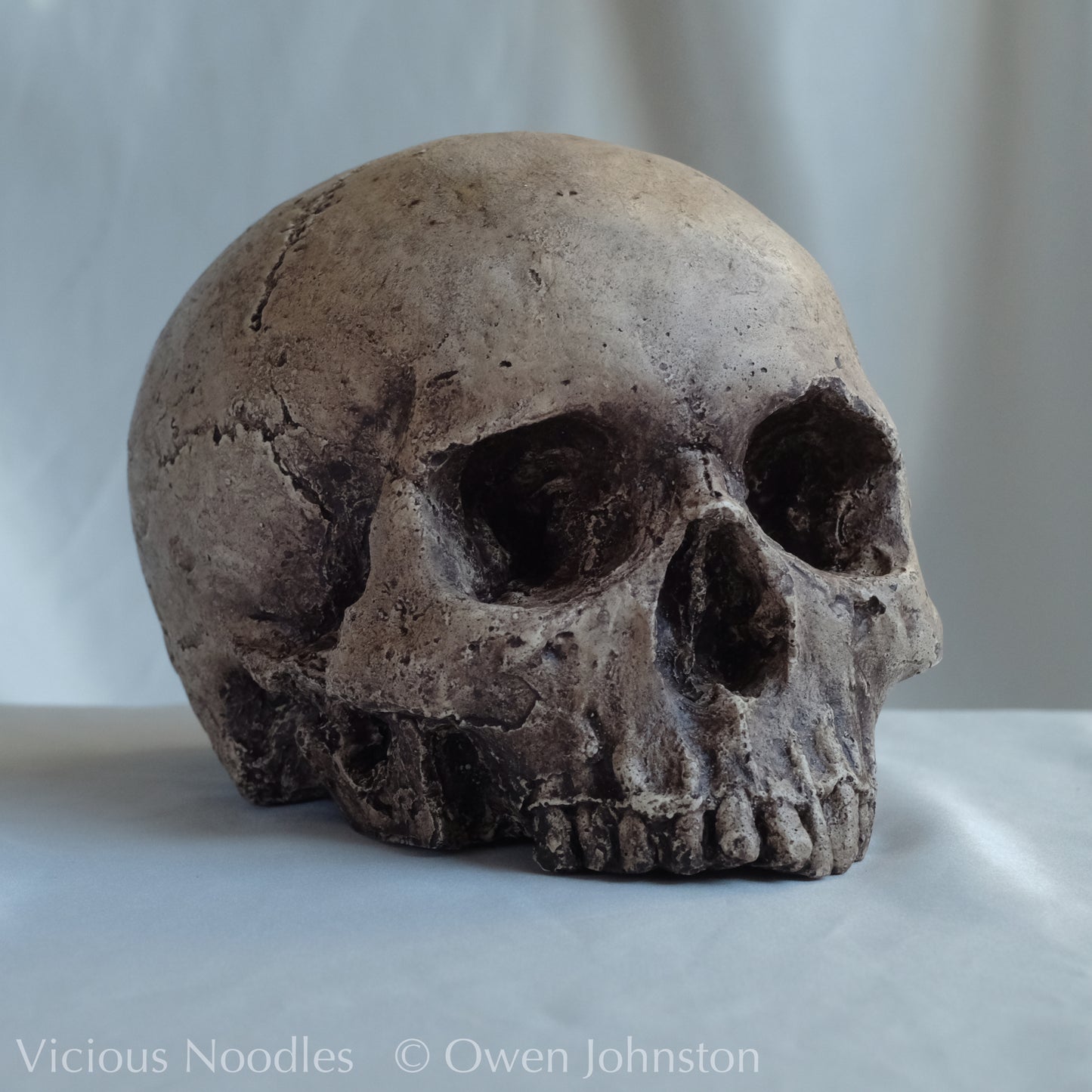 Human skull replica, highly weathered natural finish
