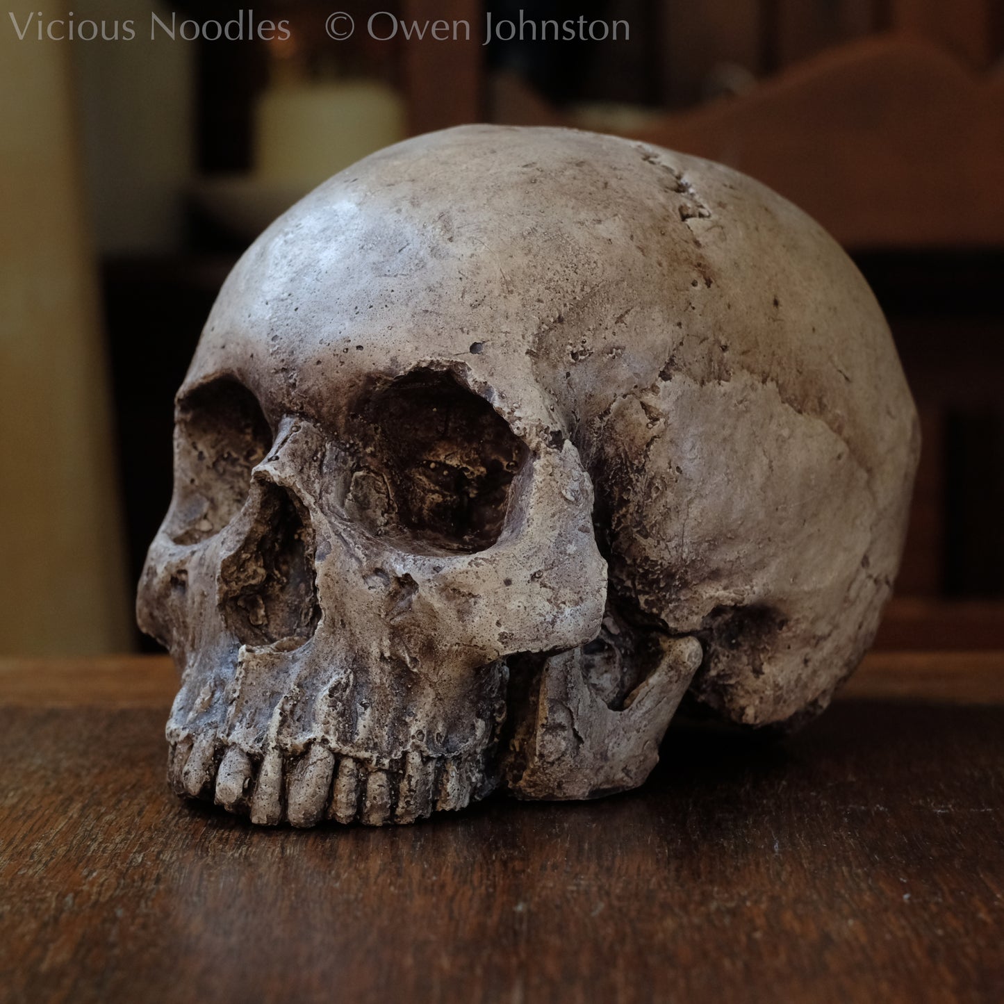 Human skull replica, highly weathered natural finish