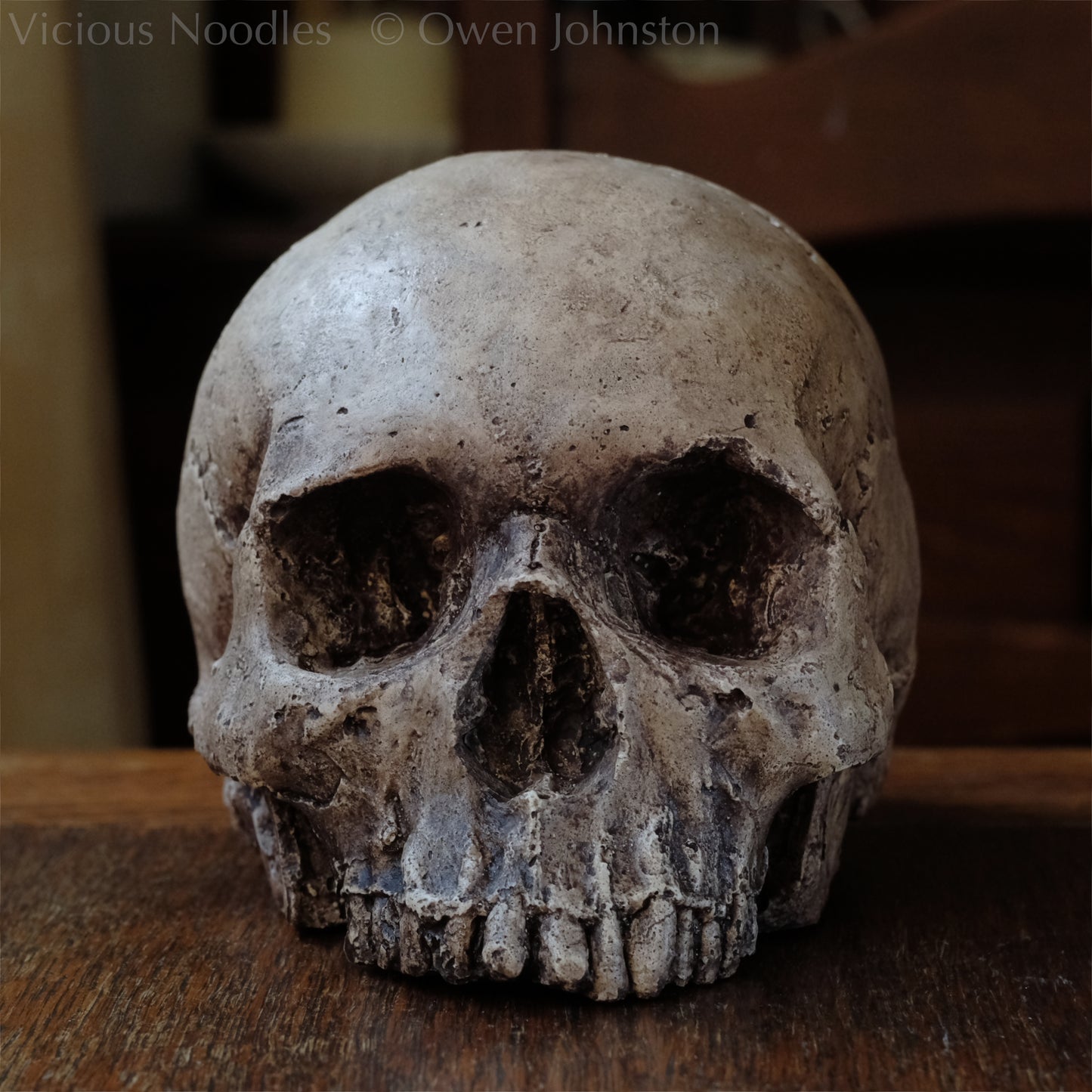 Human skull replica, highly weathered natural finish