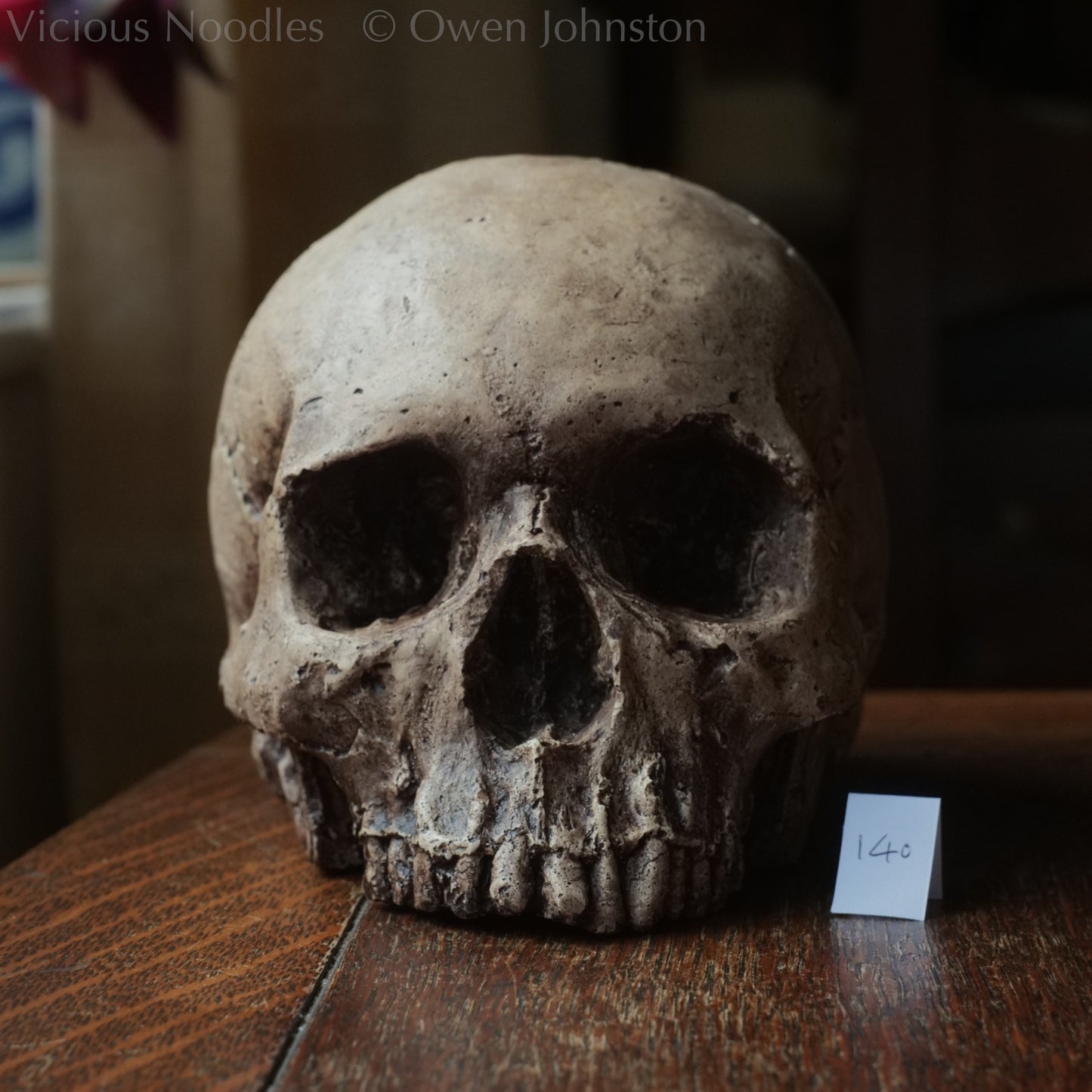Human skull replica, highly weathered natural finish