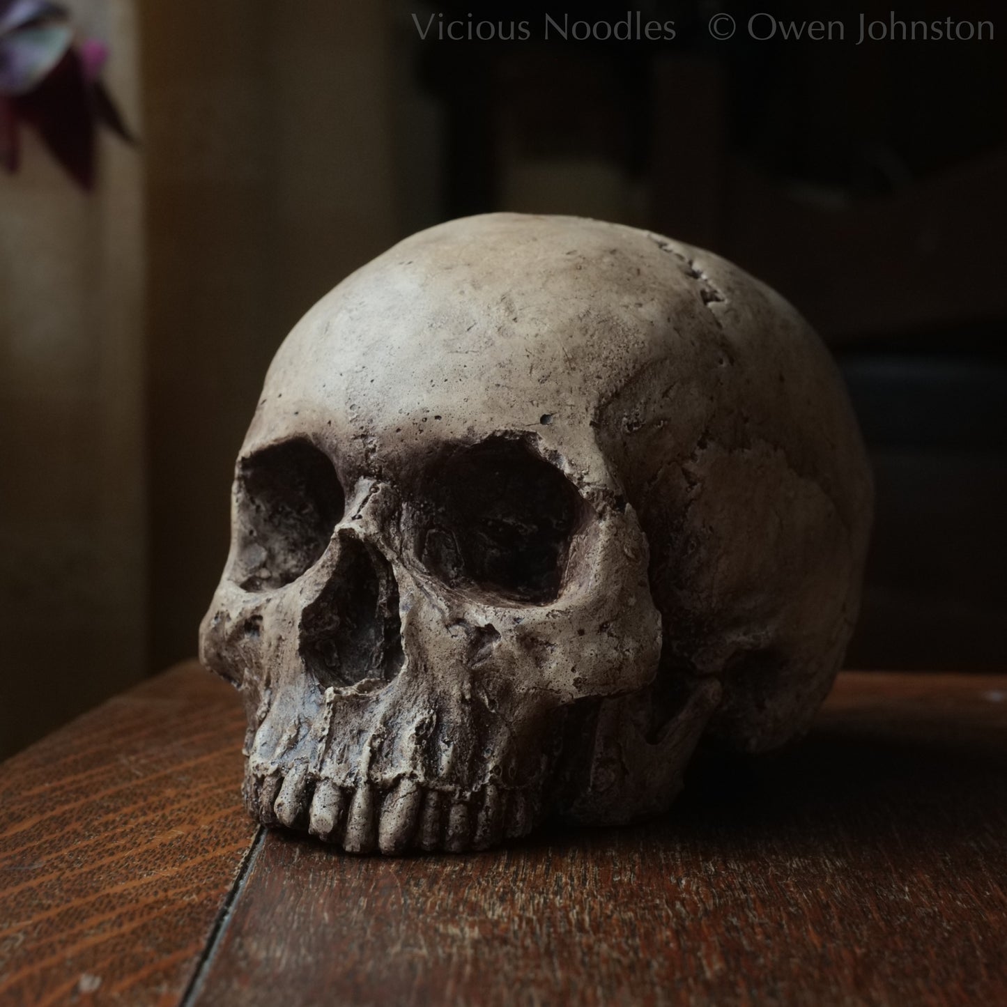 Human skull replica, highly weathered natural finish