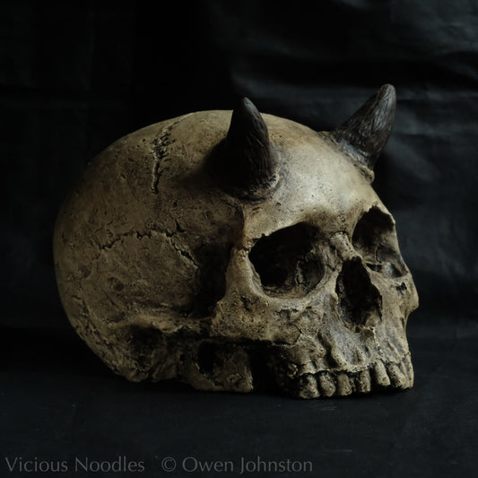 Human skull replica with short horns, life size, without lower jaw. Warm ivory colour with dark weathering.
