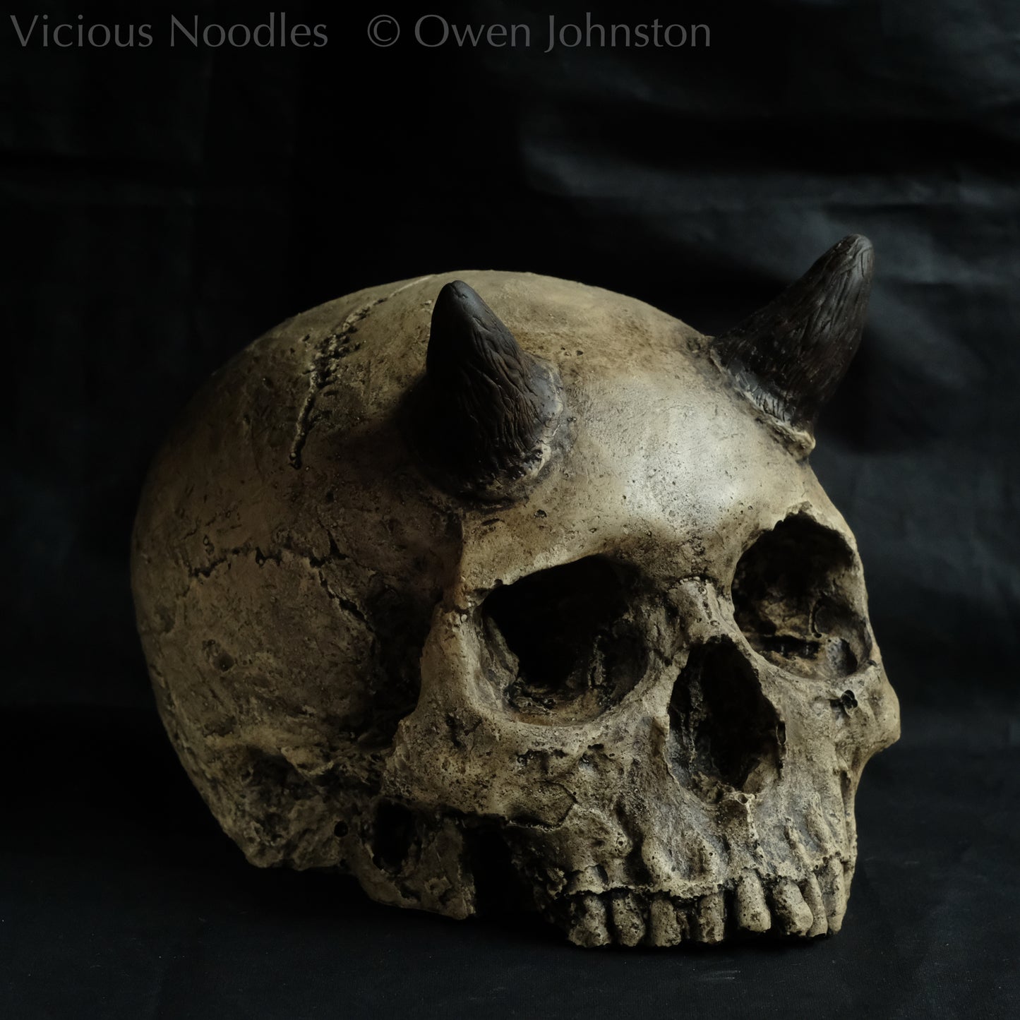 Human skull replica with short horns, life size, without lower jaw. Warm ivory colour with dark weathering.
