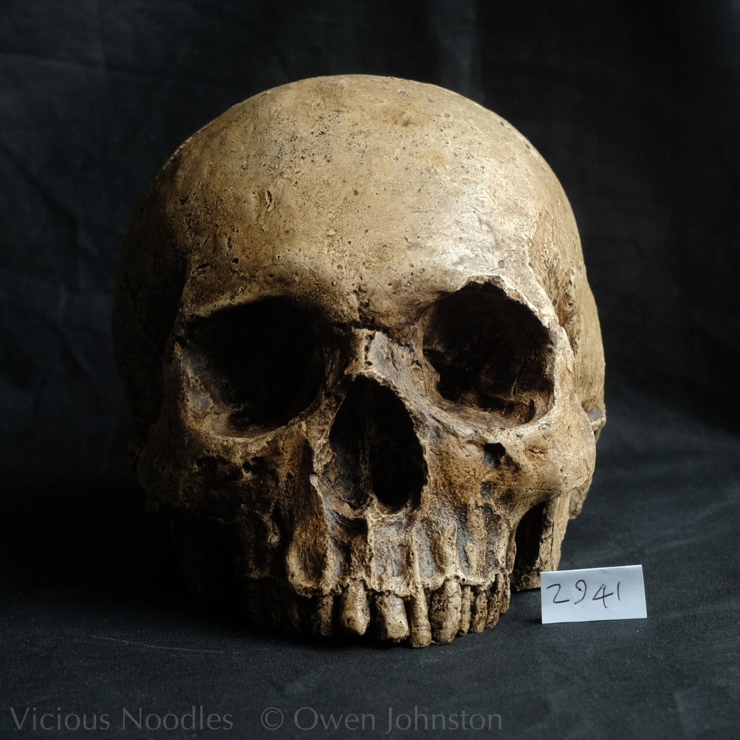 Human skull replica, highly weathered natural finish