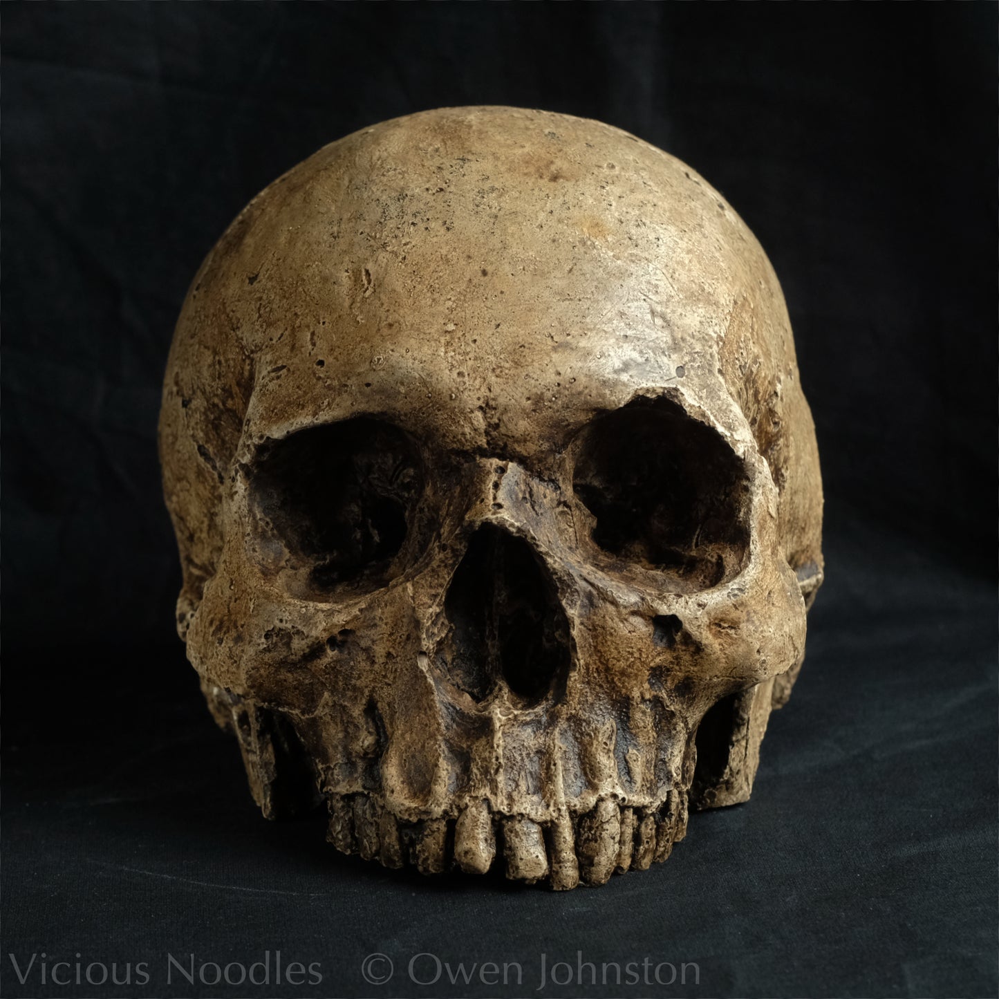 Human skull replica, highly weathered natural finish