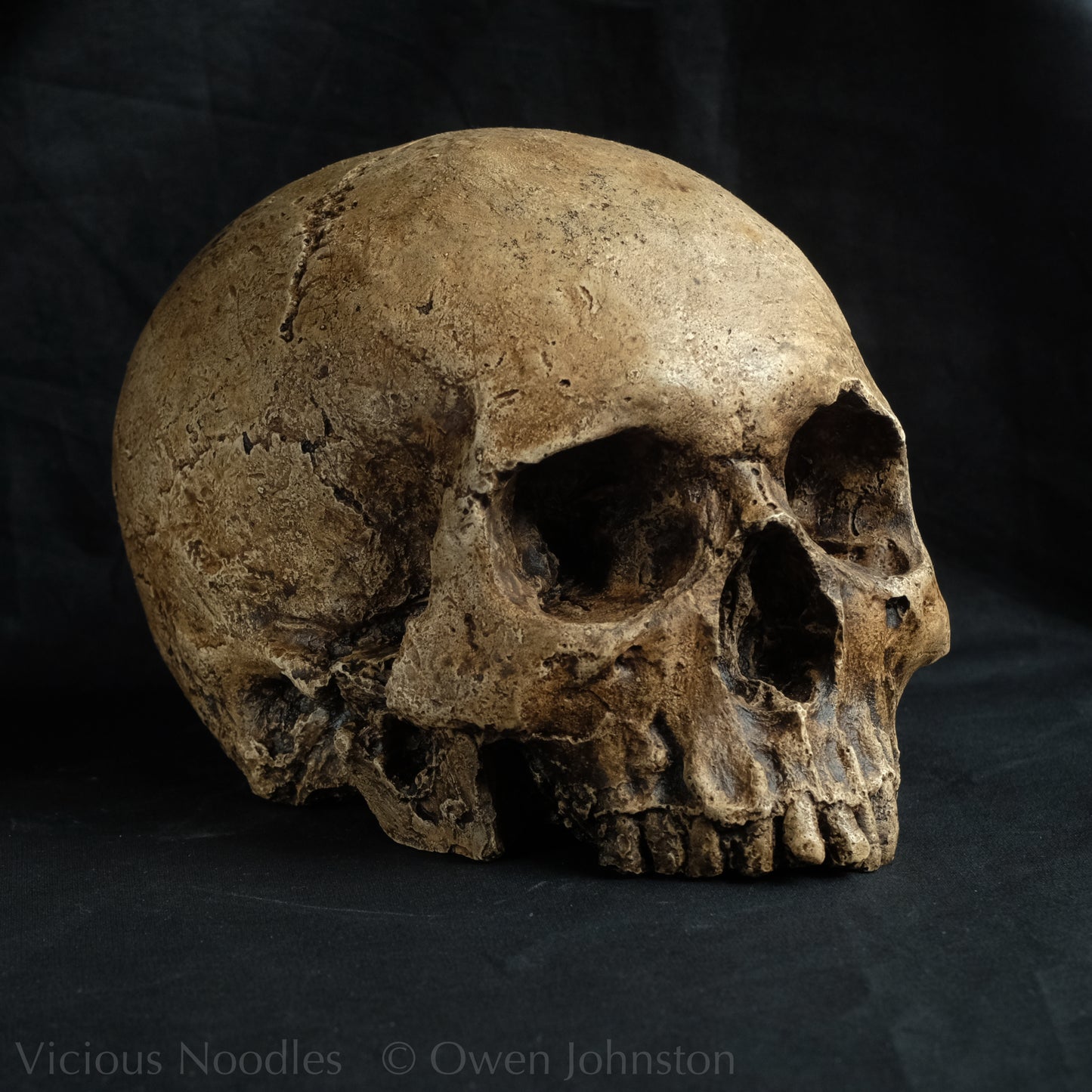 Human skull replica, highly weathered natural finish