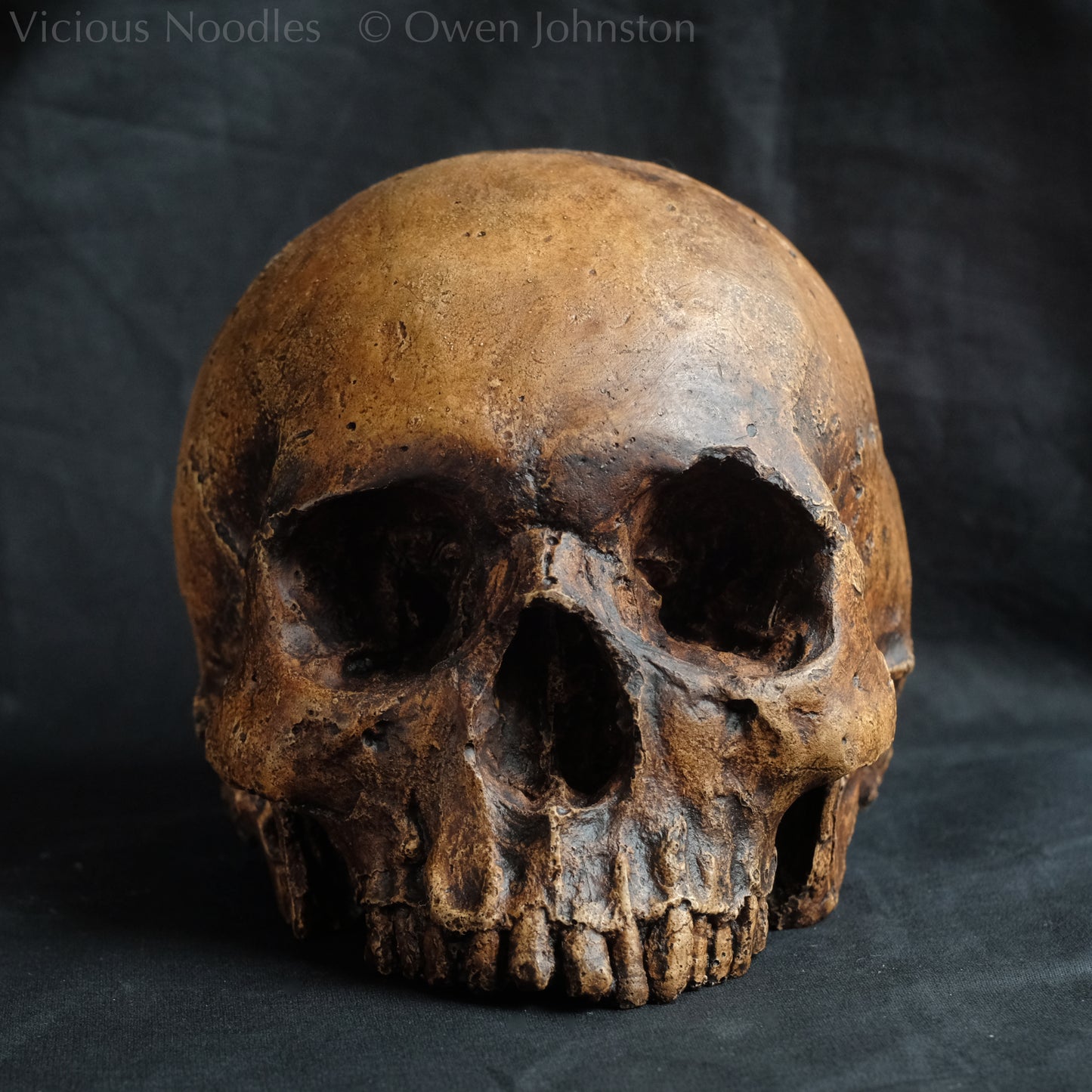 Human skull replica, antique fossil finish, reddish brown