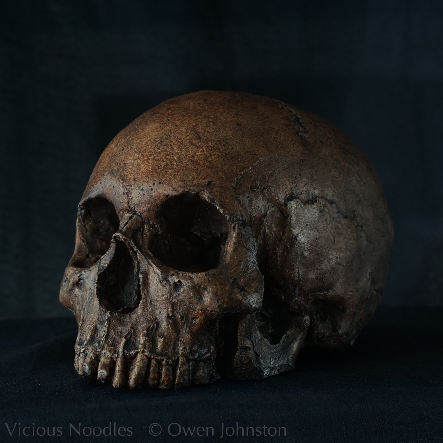 Human skull replica, fossil finish, dark reddish brown