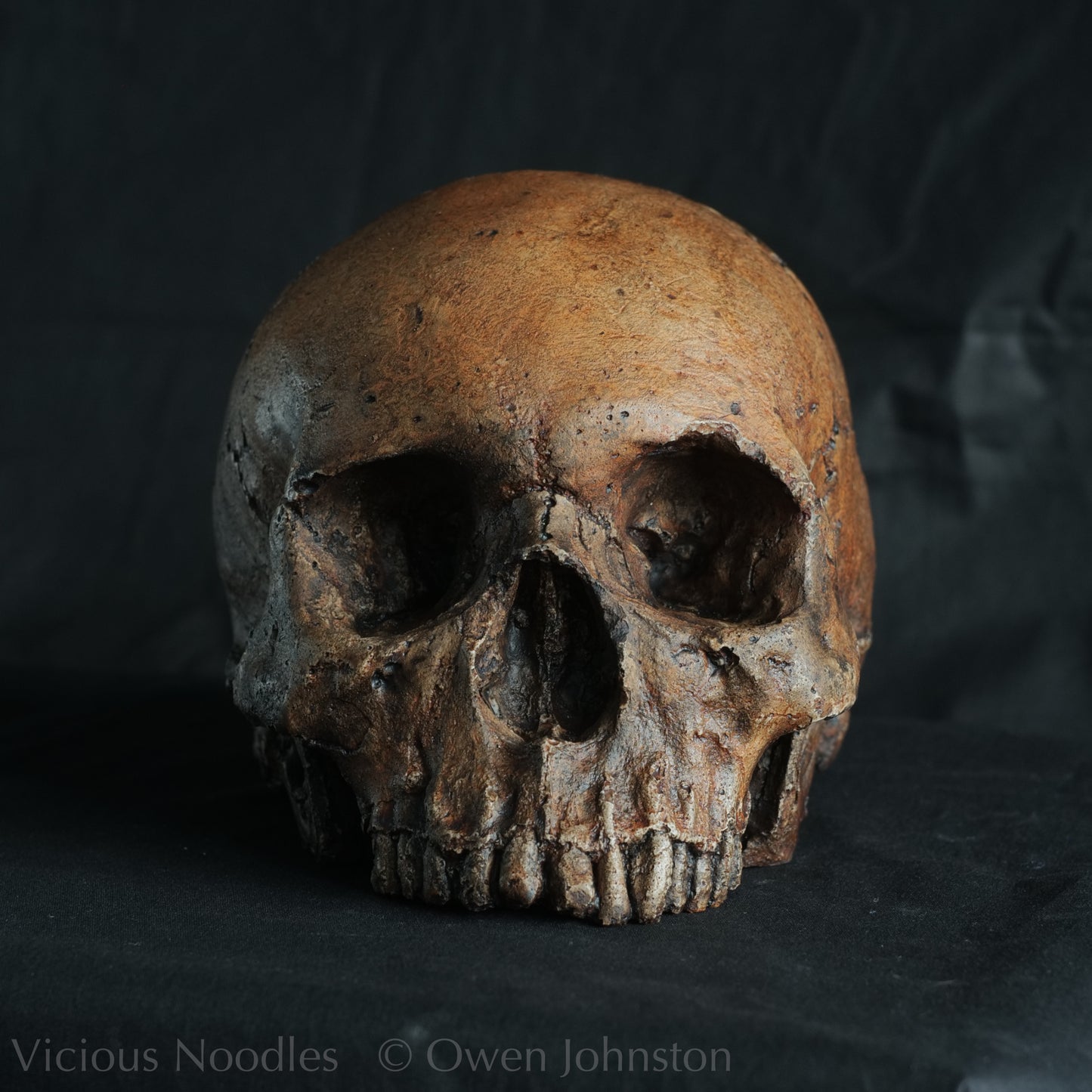 Human skull replica, fossil finish, dark reddish brown