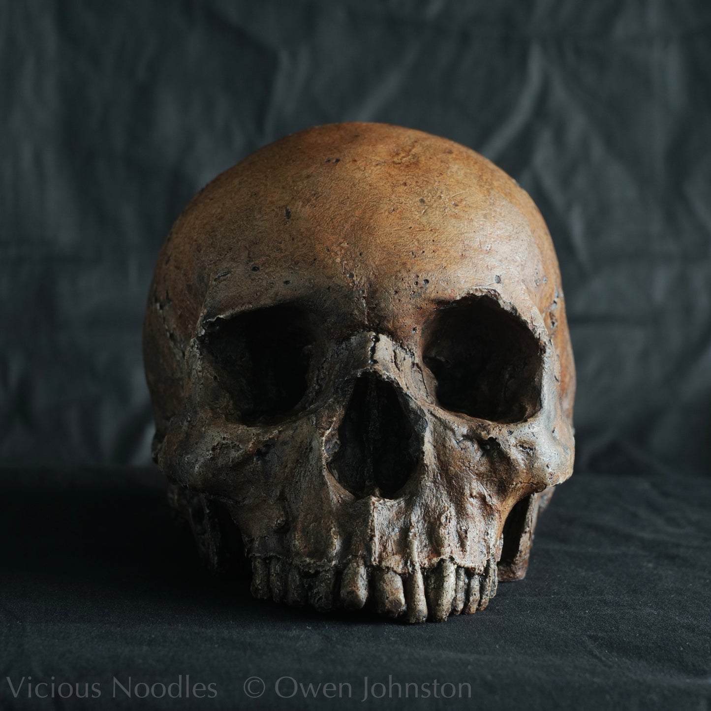 Human skull replica, fossil finish, dark reddish brown
