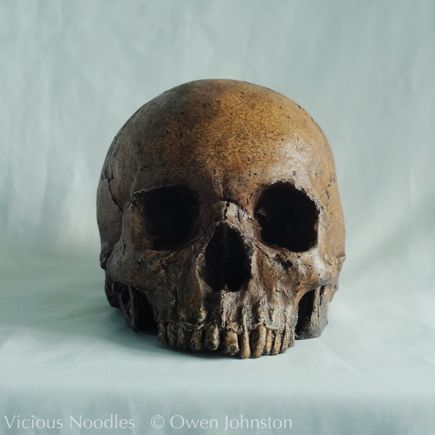 Human skull replica, fossil finish, dark reddish brown