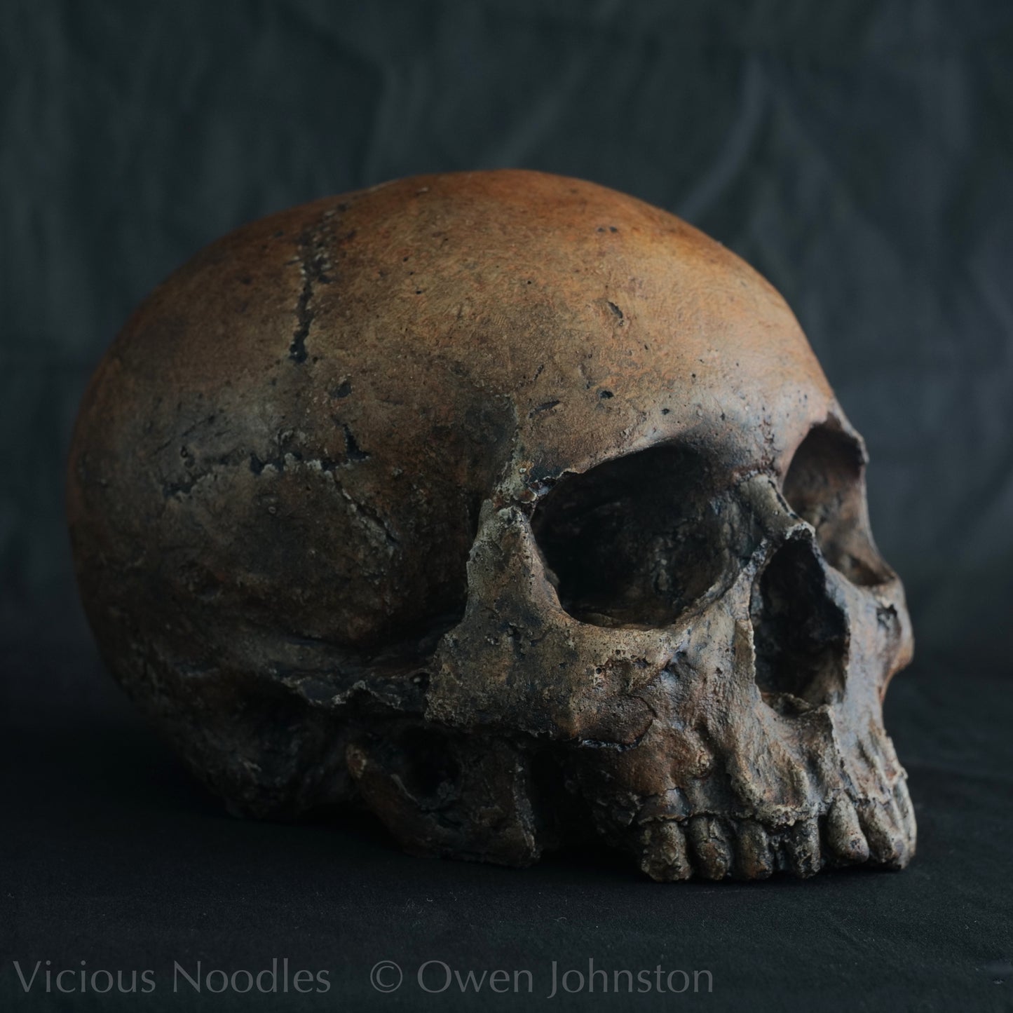 Human skull replica, fossil finish, dark reddish brown
