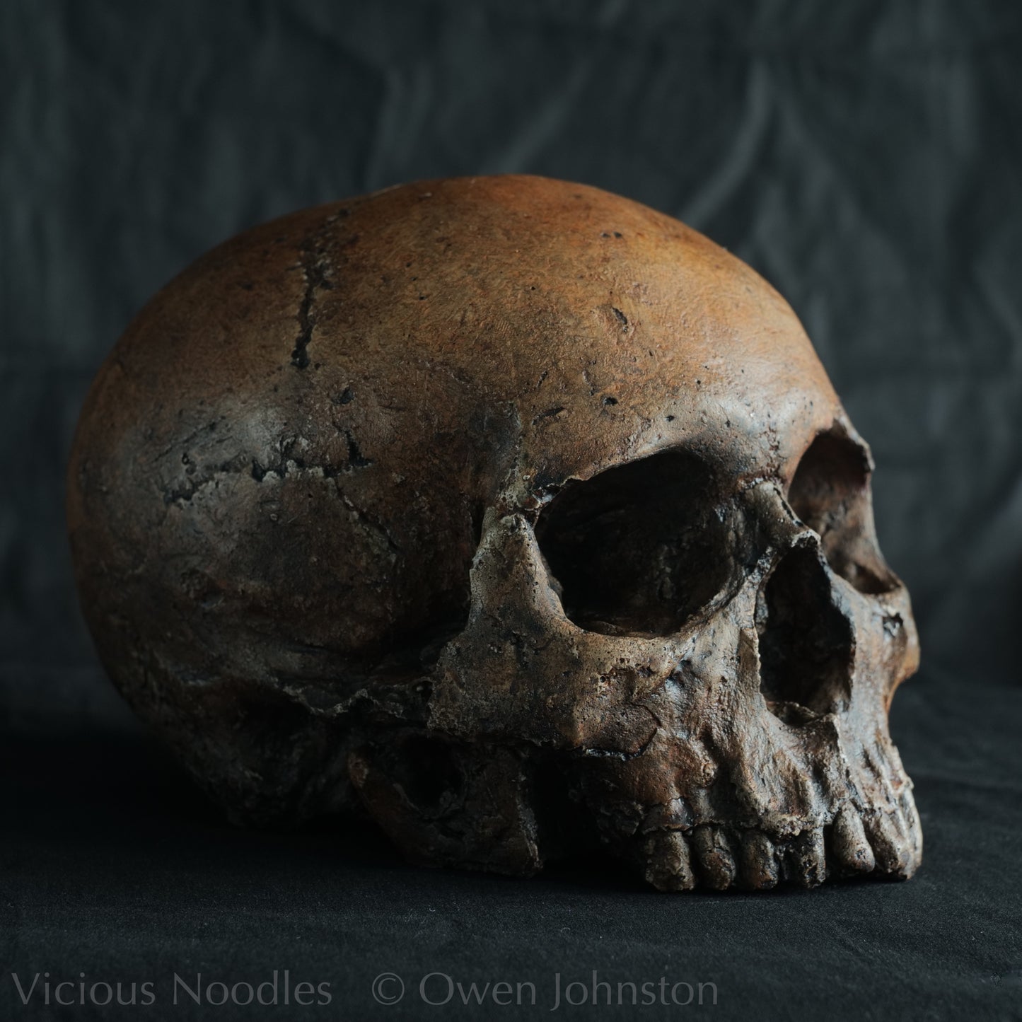 Human skull replica, fossil finish, dark reddish brown