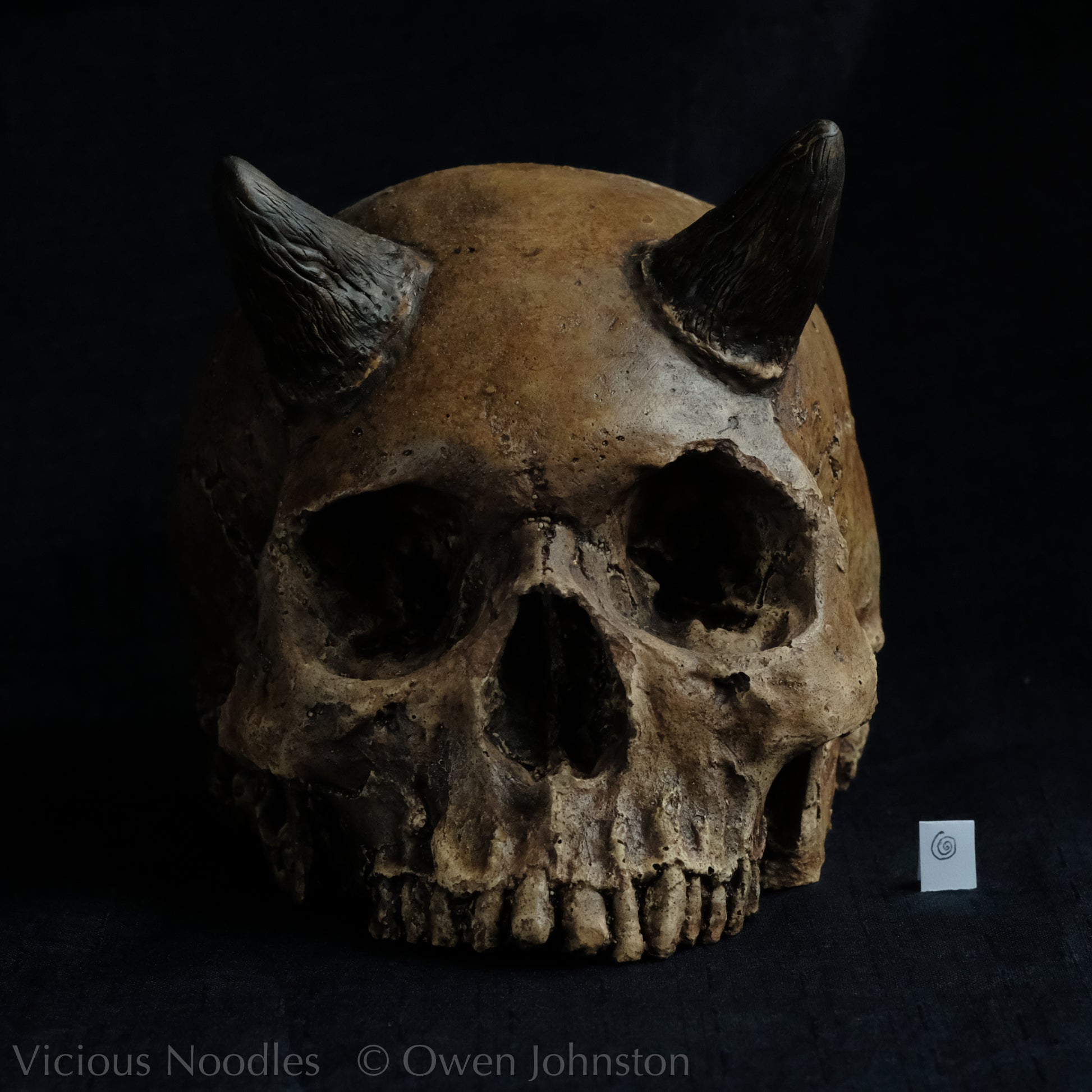 Human skull replica with short horns, life size, without lower jaw. Highly weathered brown finish.