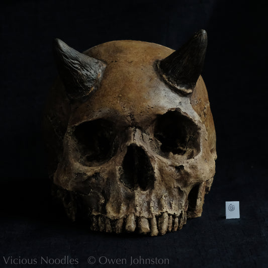 Human skull replica with short horns, life size, without lower jaw. Highly weathered brown finish.