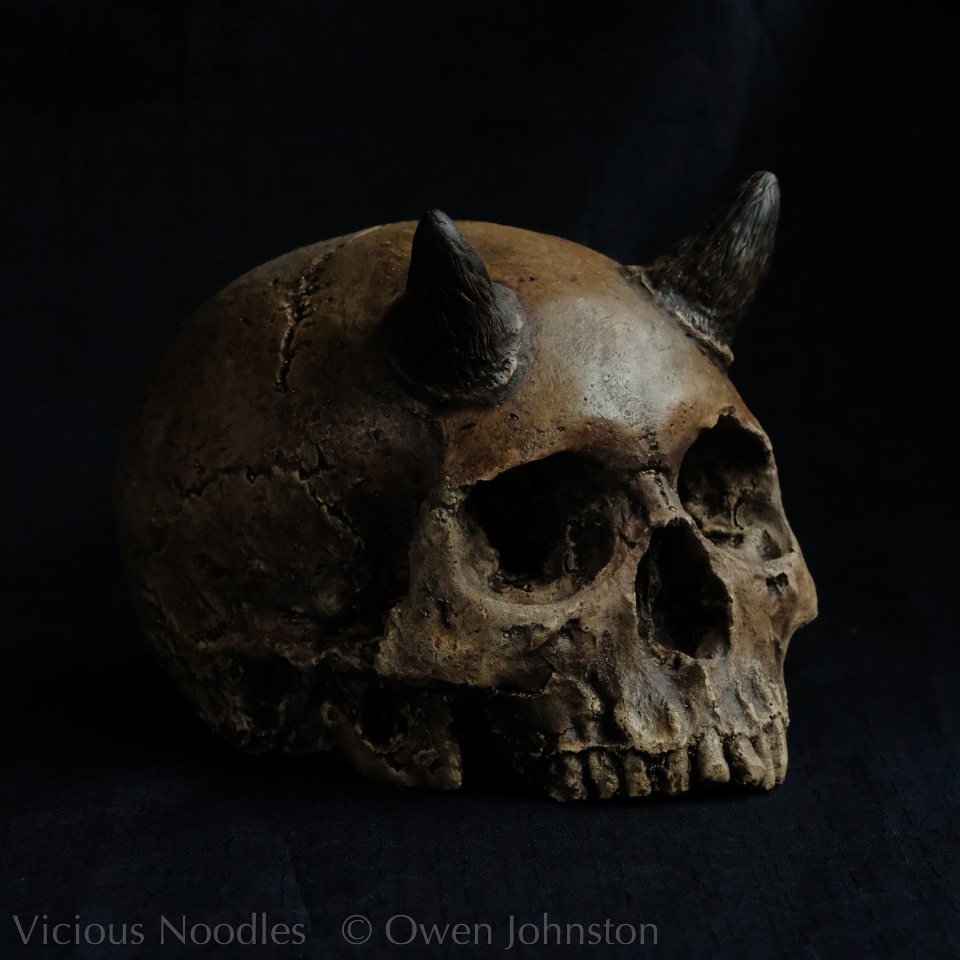 Human skull replica with short horns, life size, without lower jaw. Highly weathered brown finish.