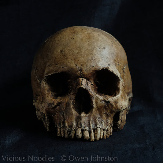 Human skull replica without jaw, life size, looks like a highly weathered antique skull. The colour is a warm, mid dark brown, finished with lacquer.
