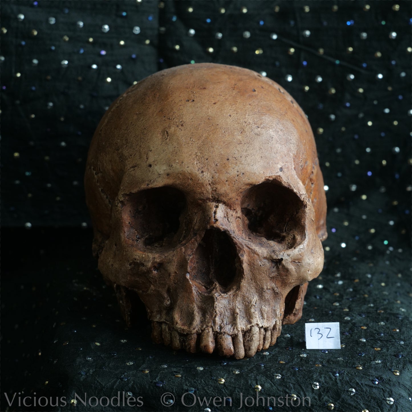 Human skull replica, fossil finish, reddish brown