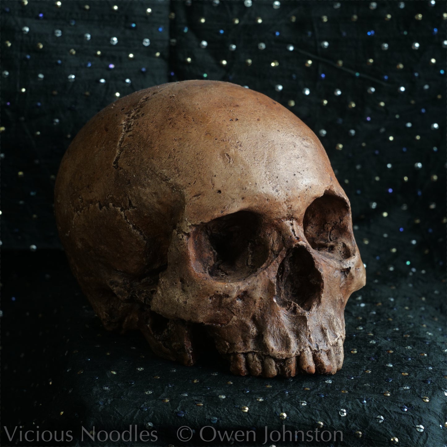 Human skull replica, fossil finish, reddish brown