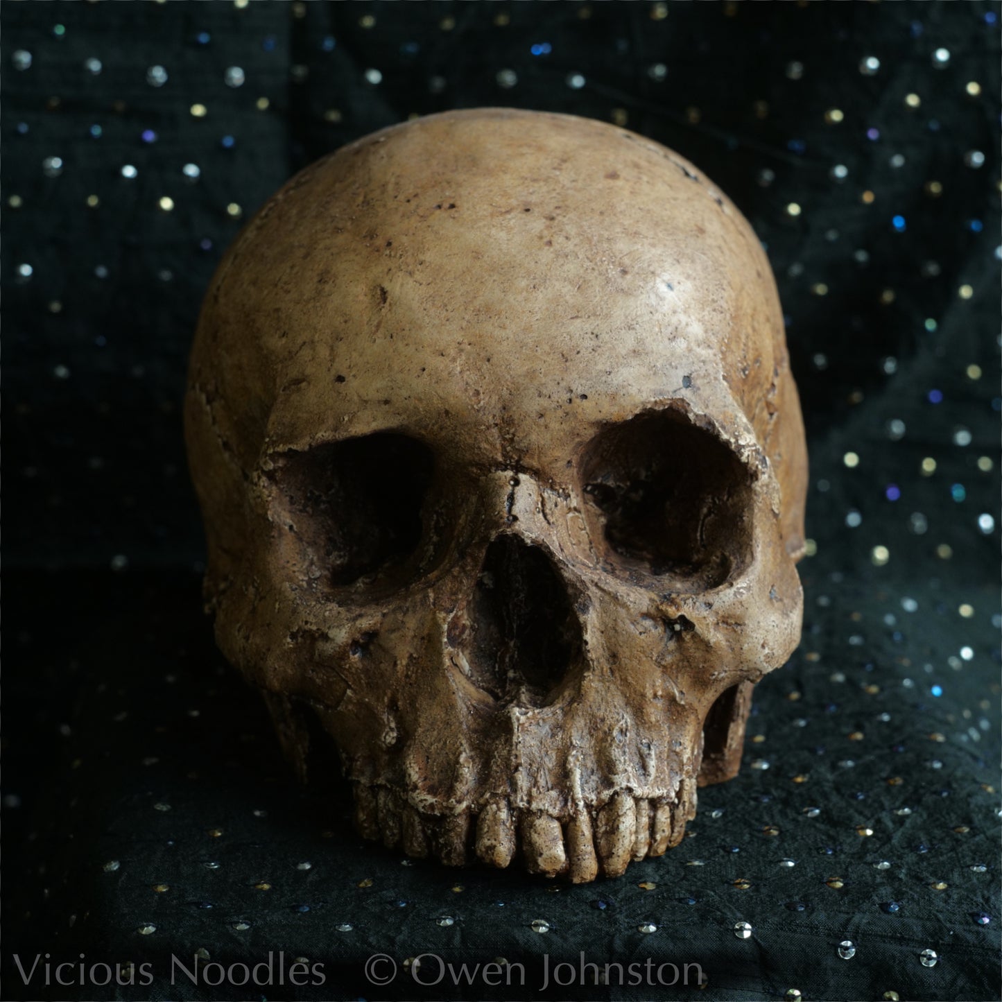 Human skull replica, fossil finish, reddish brown
