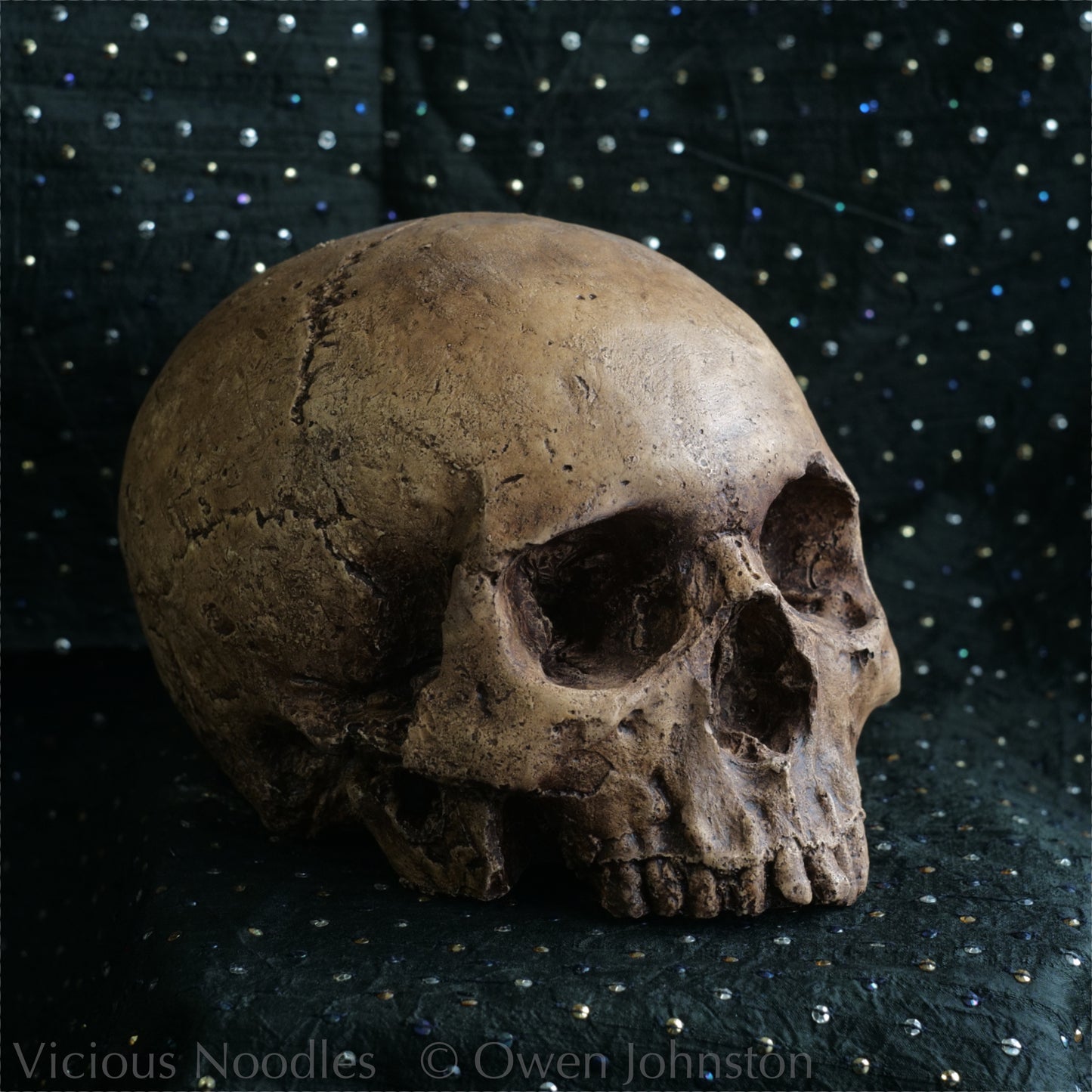 Human skull replica, fossil finish, reddish brown