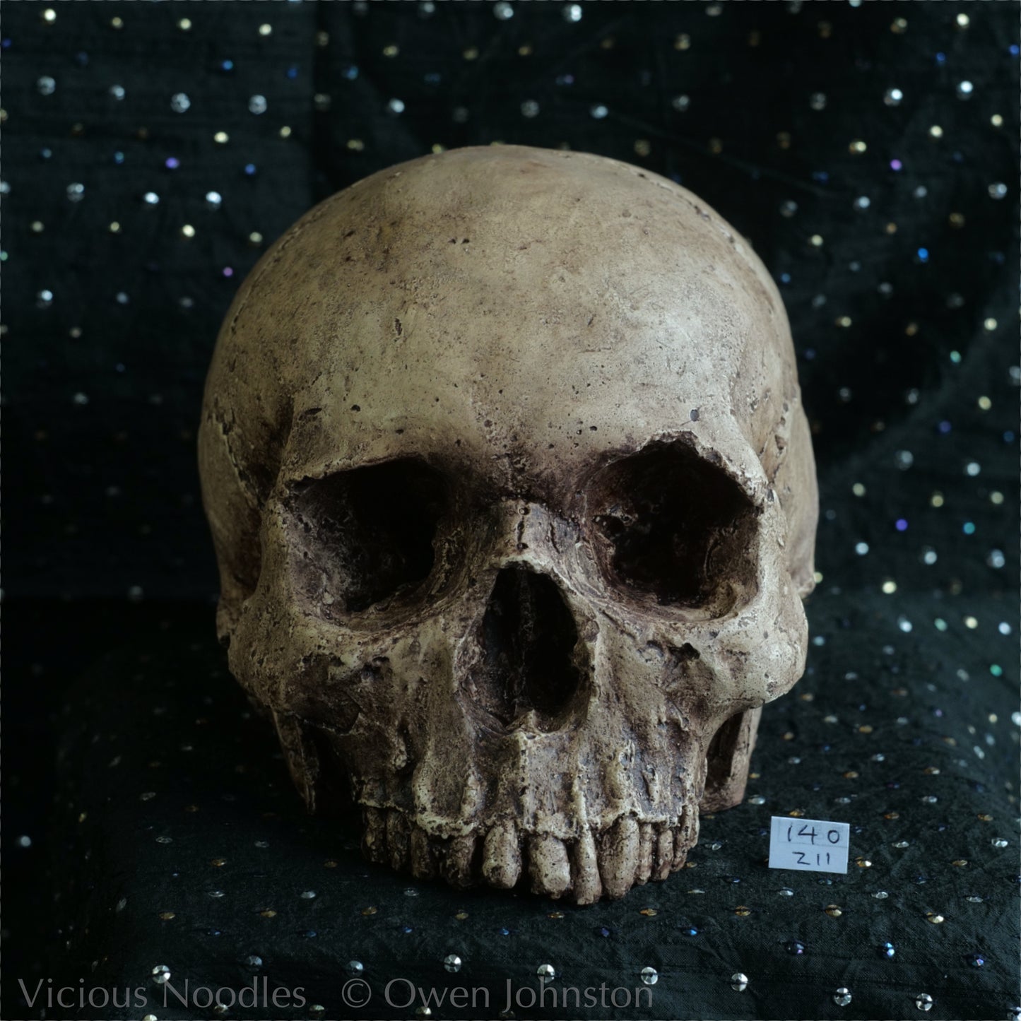 Human skull replica, highly weathered natural finish