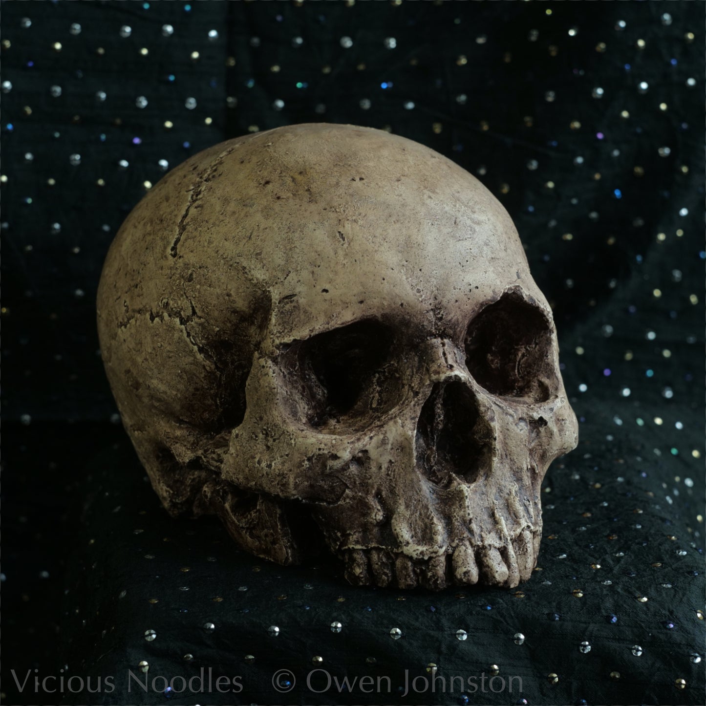 Human skull replica, highly weathered natural finish