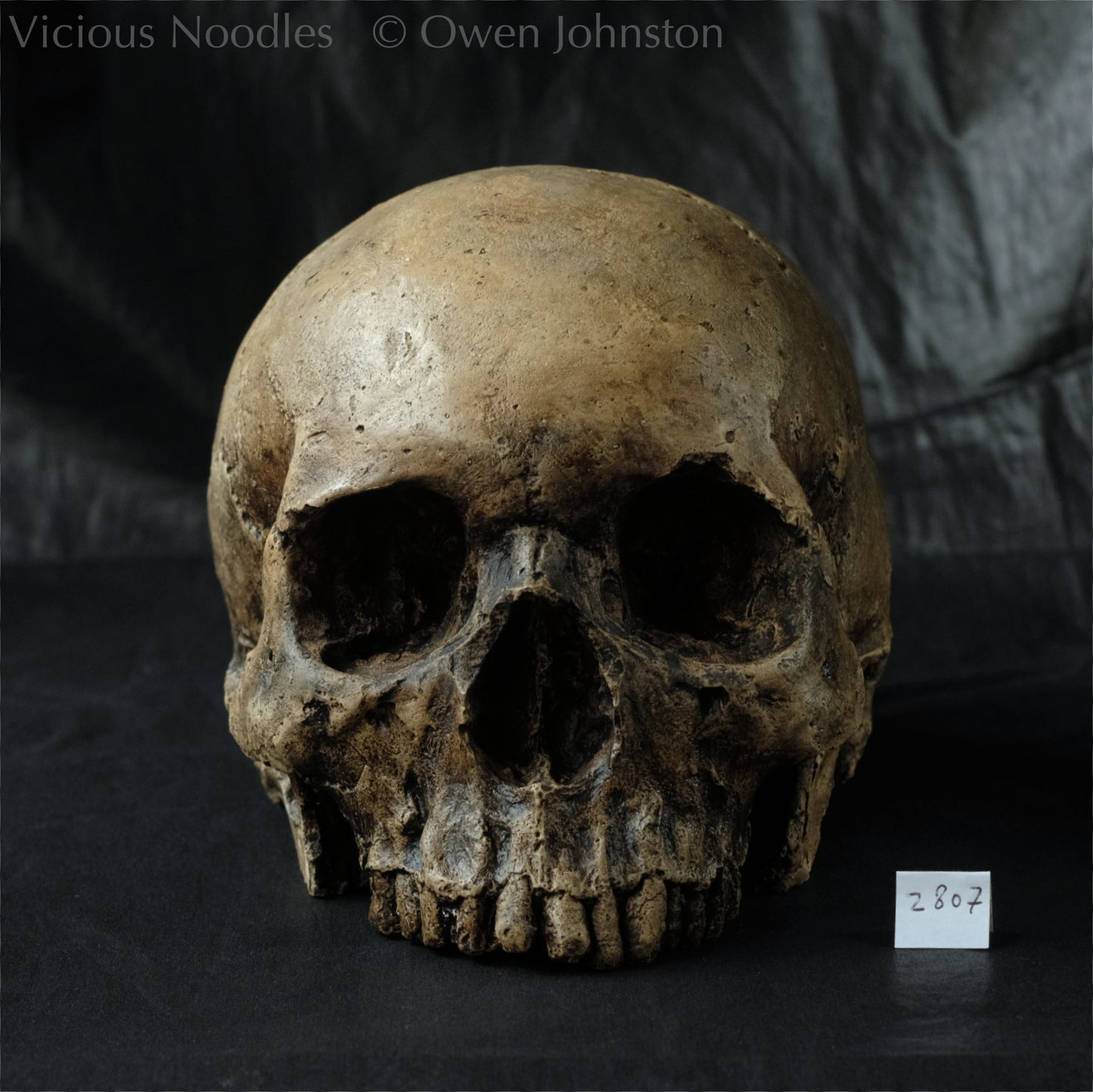 Human skull replica, highly weathered finish