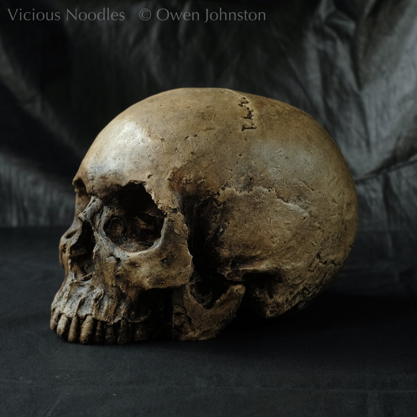 Human skull replica, highly weathered finish