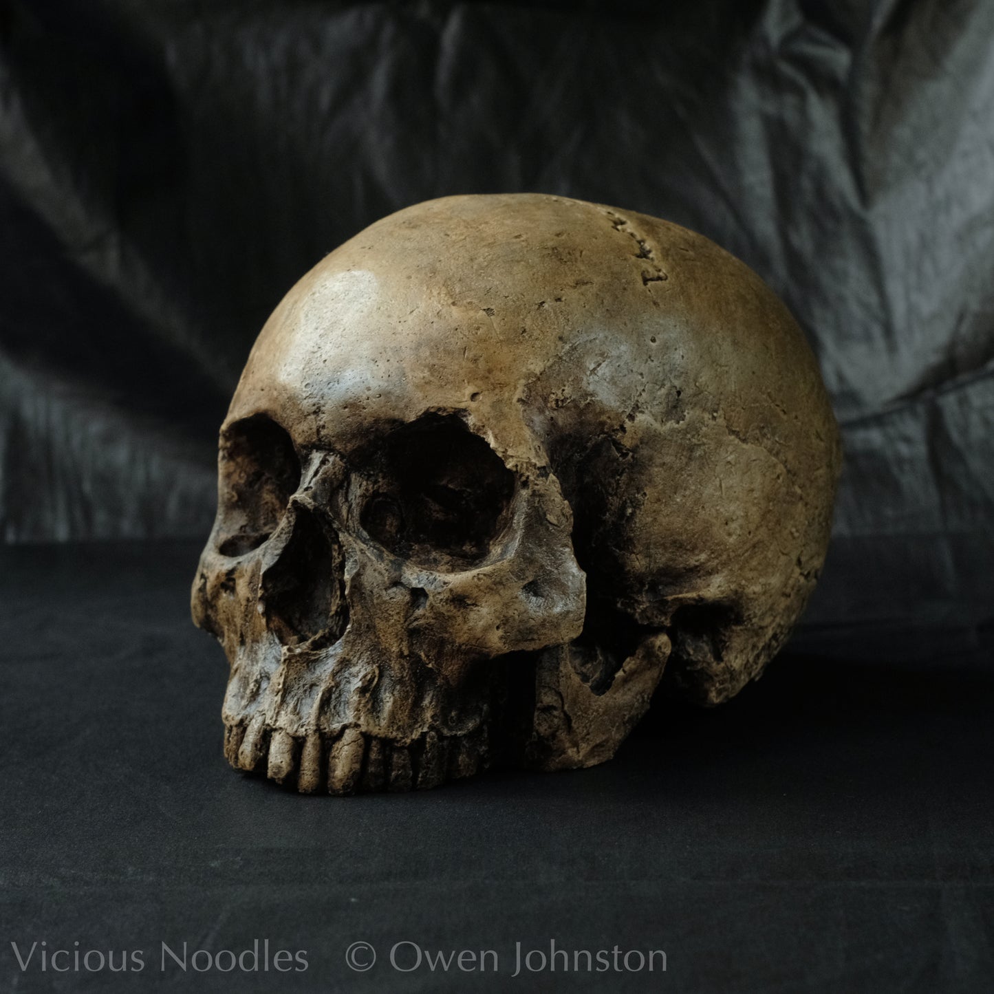 Human skull replica, highly weathered finish