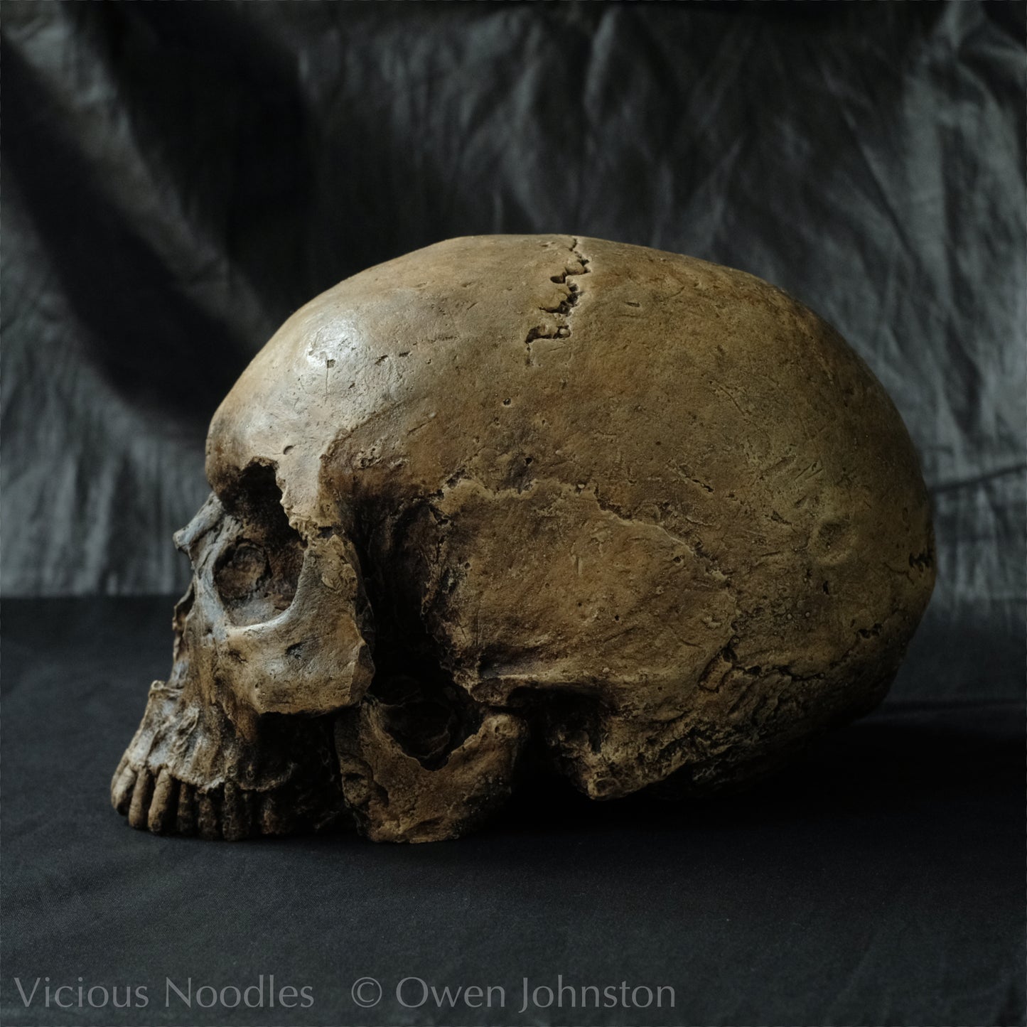 Human skull replica, highly weathered finish